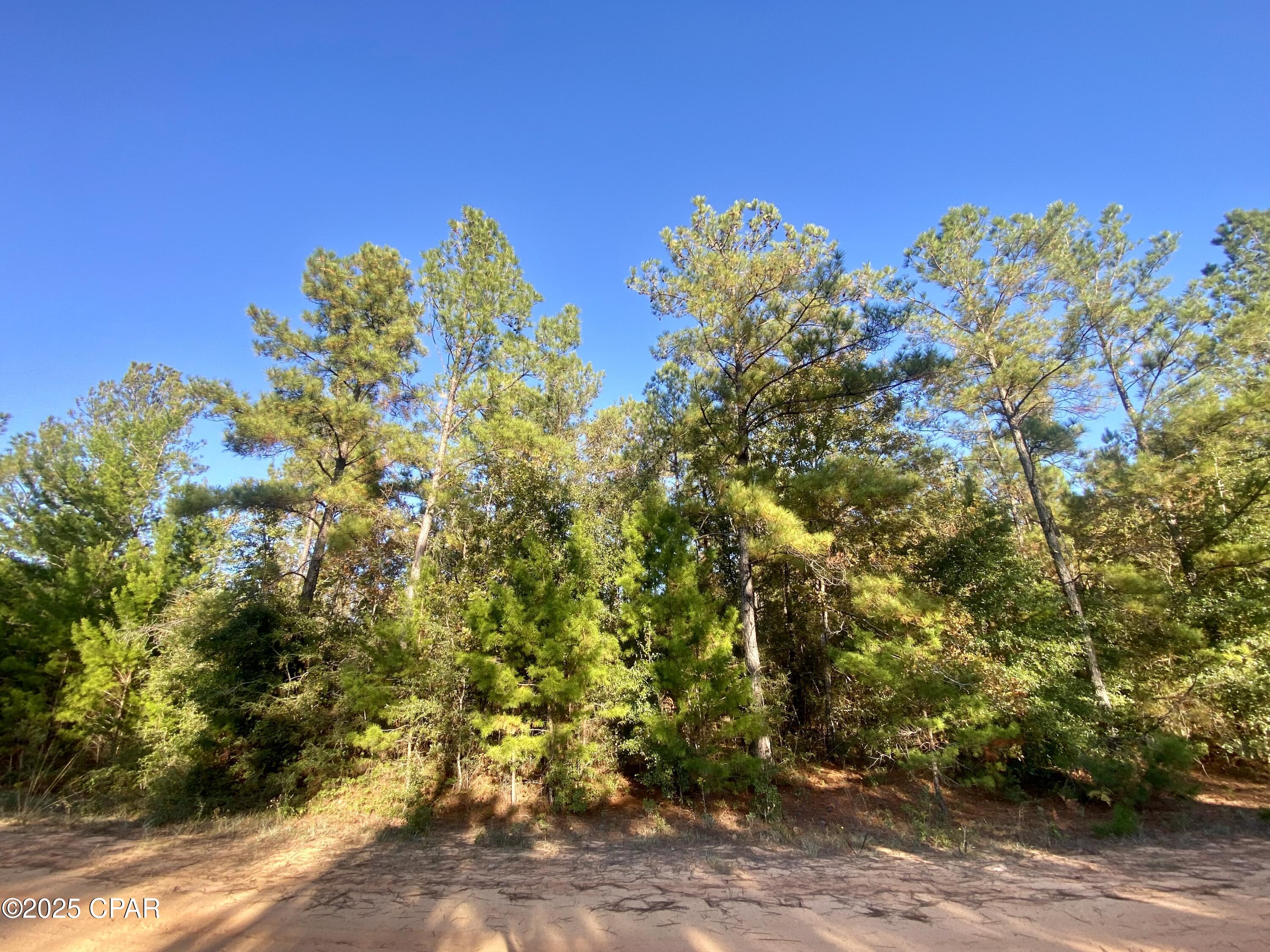 Details for Lot 9 Adams Drive, Alford, FL 32420