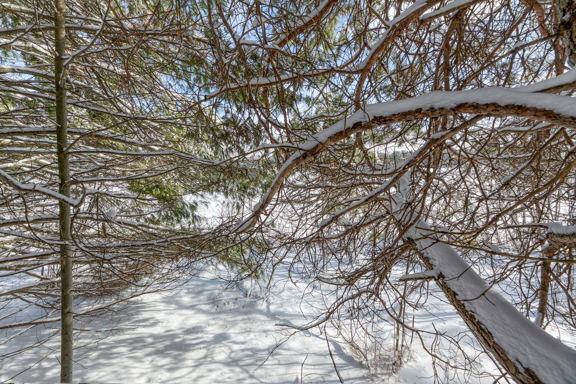Undocumented Lake Property Off Hwy 45 Photo 13