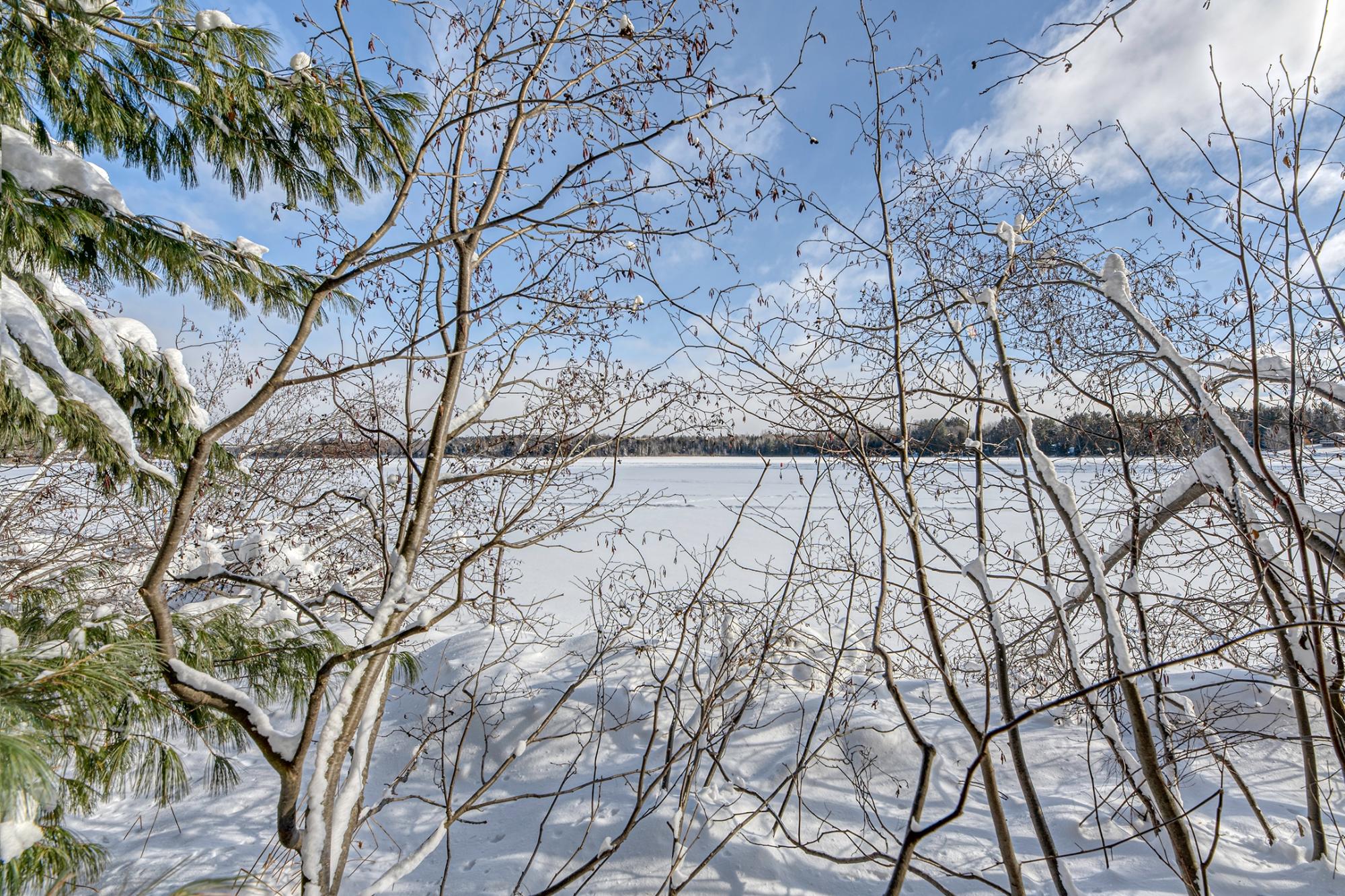 Undocumented Lake Property Off Hwy 45 Photo 14