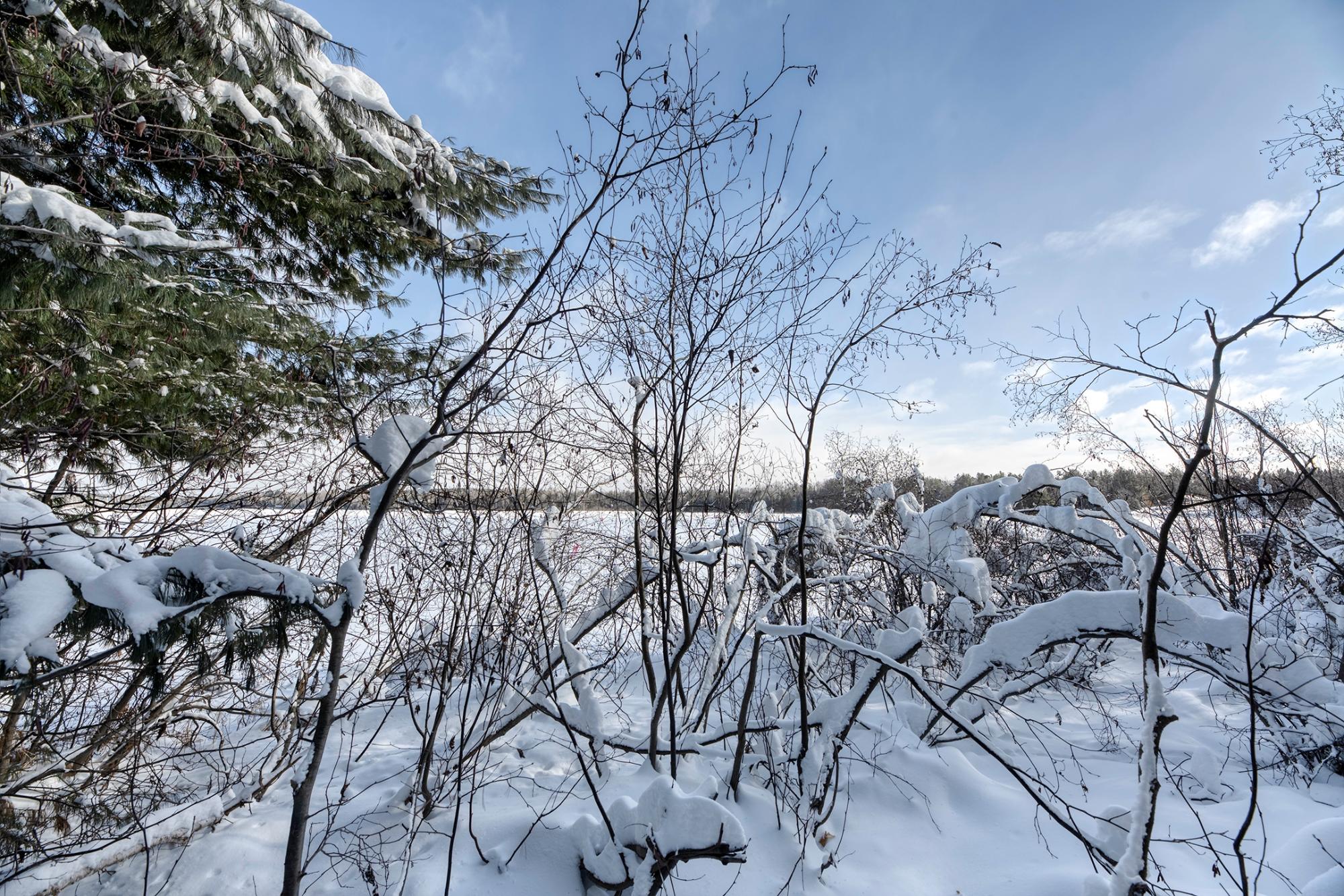 Undocumented Lake Property Off Hwy 45 Photo 5