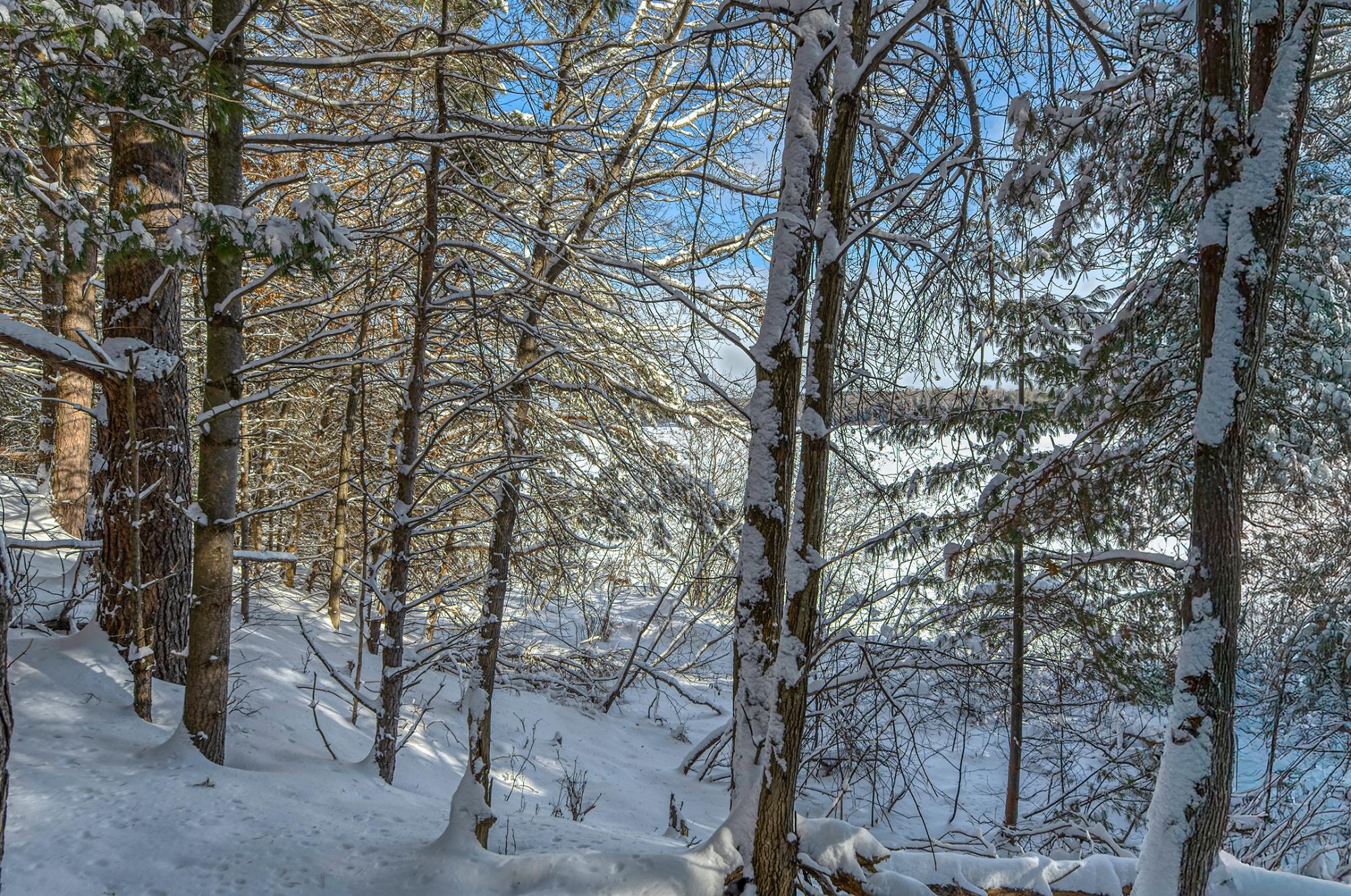 Undocumented Lake Property Off Hwy 45 Photo 8