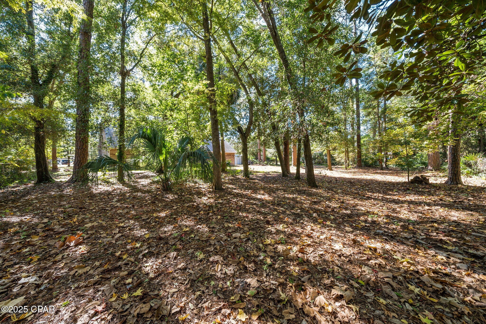 Image 33 For 204 Laird Circle