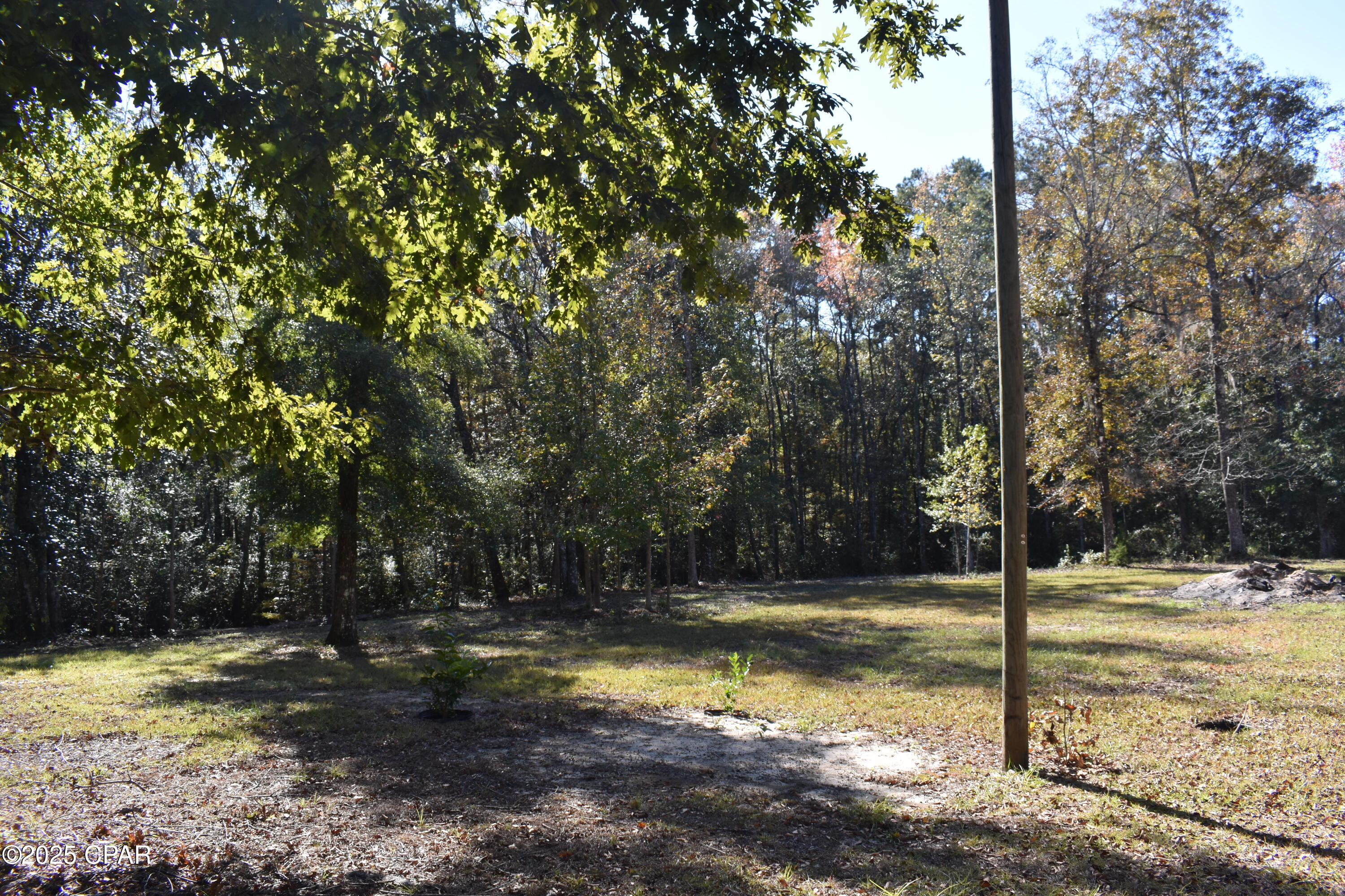 Image 11 For 2461 Angelena Court