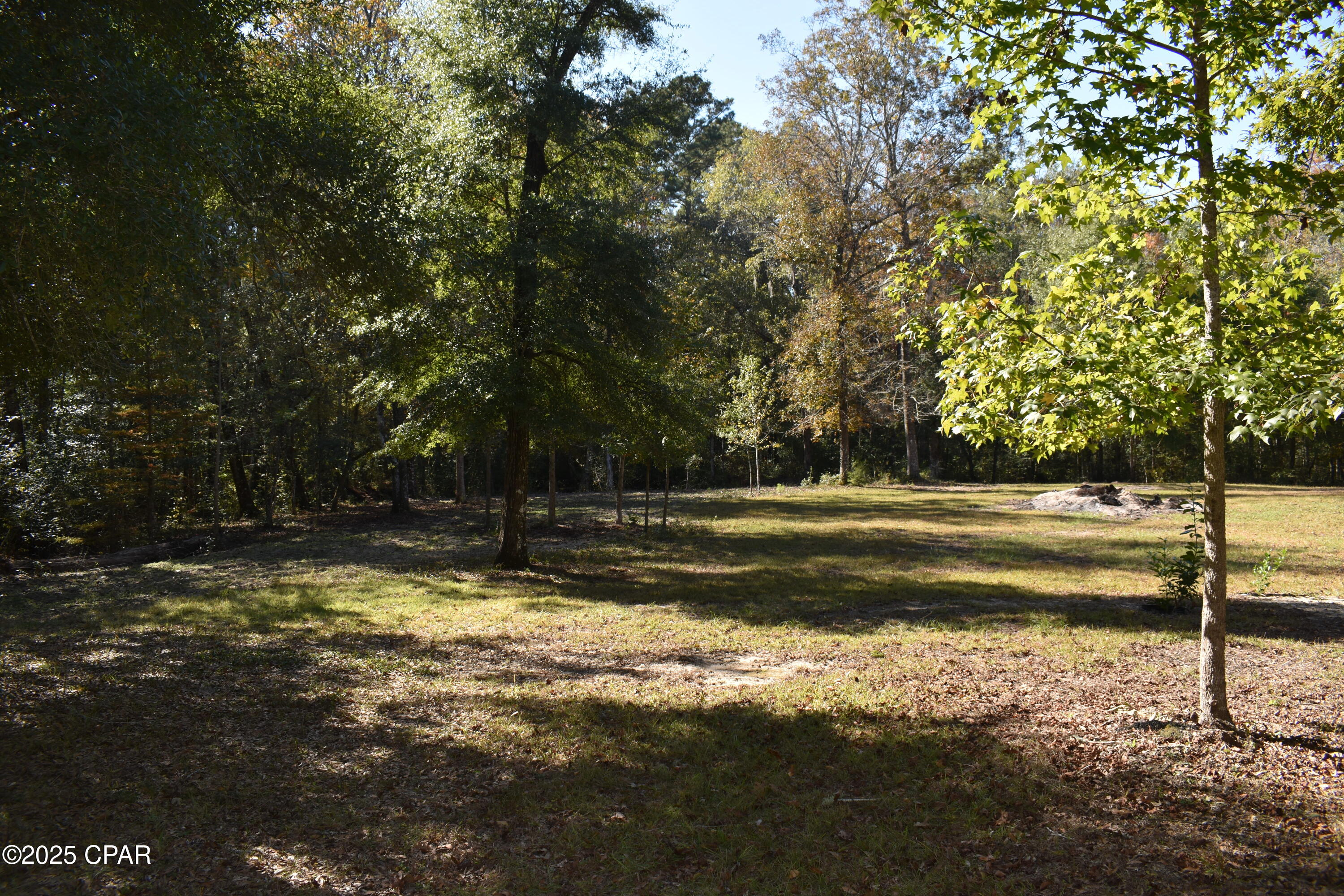 Image 13 For 2461 Angelena Court