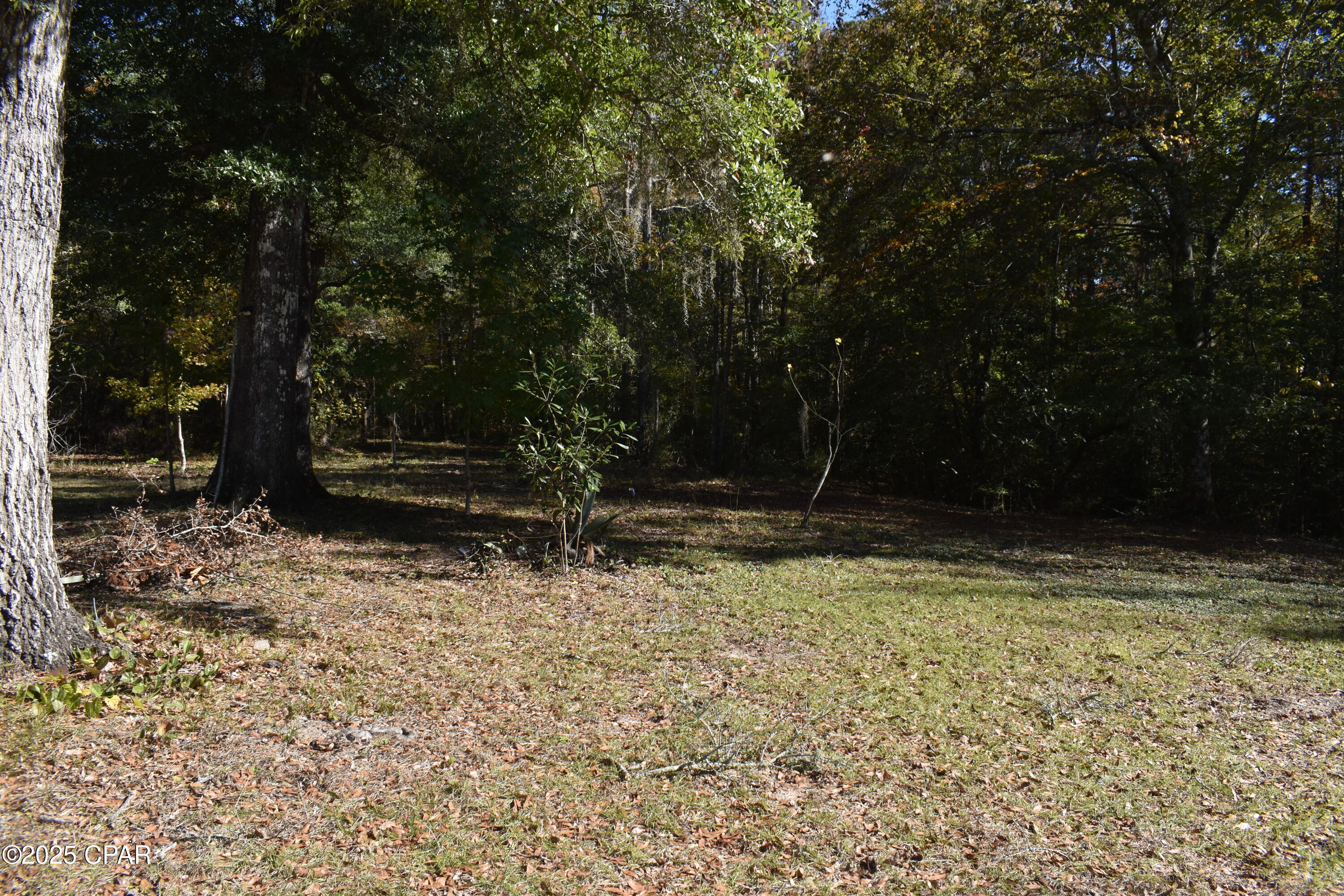 Image 14 For 2461 Angelena Court