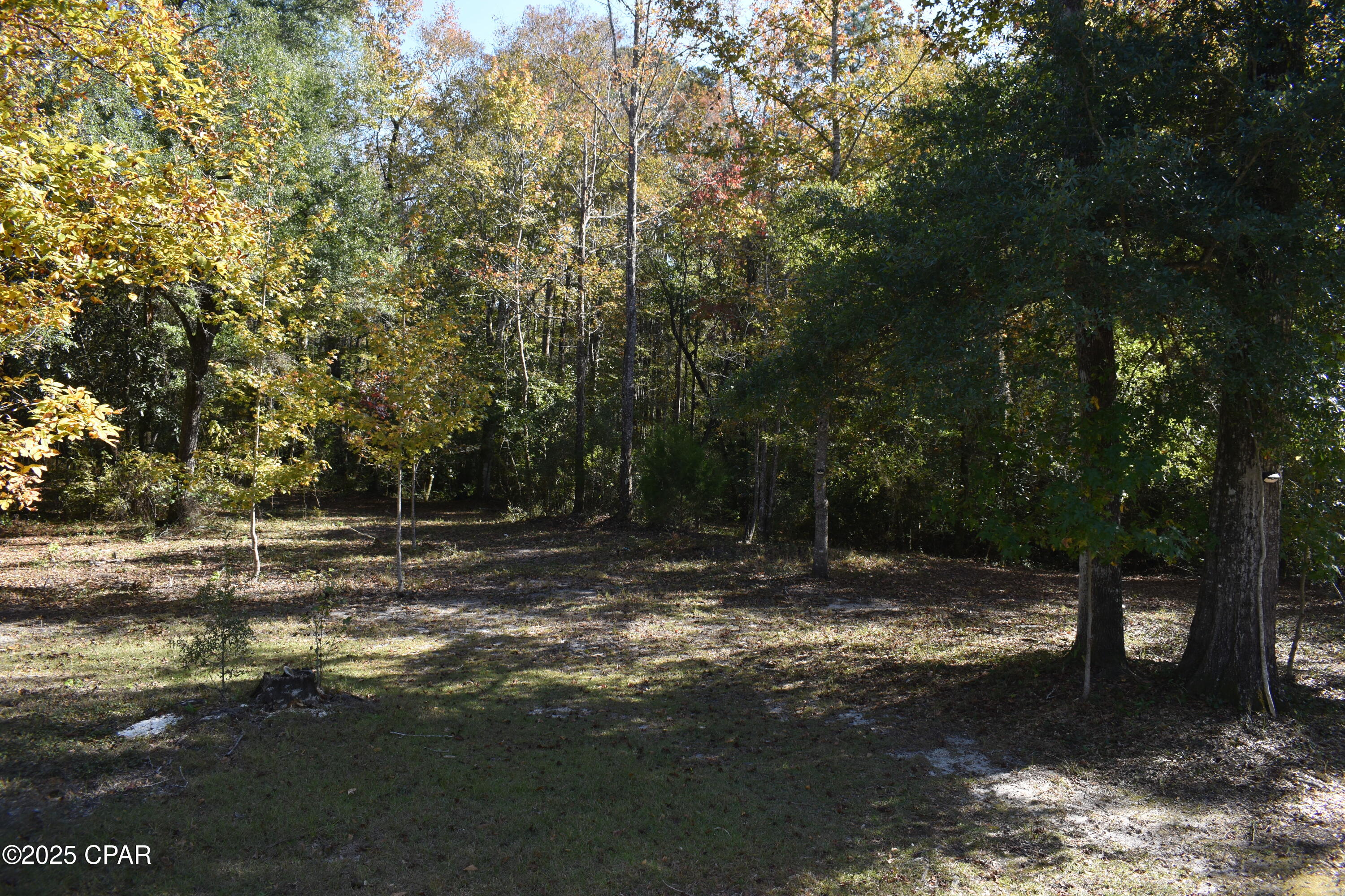 Image 15 For 2461 Angelena Court