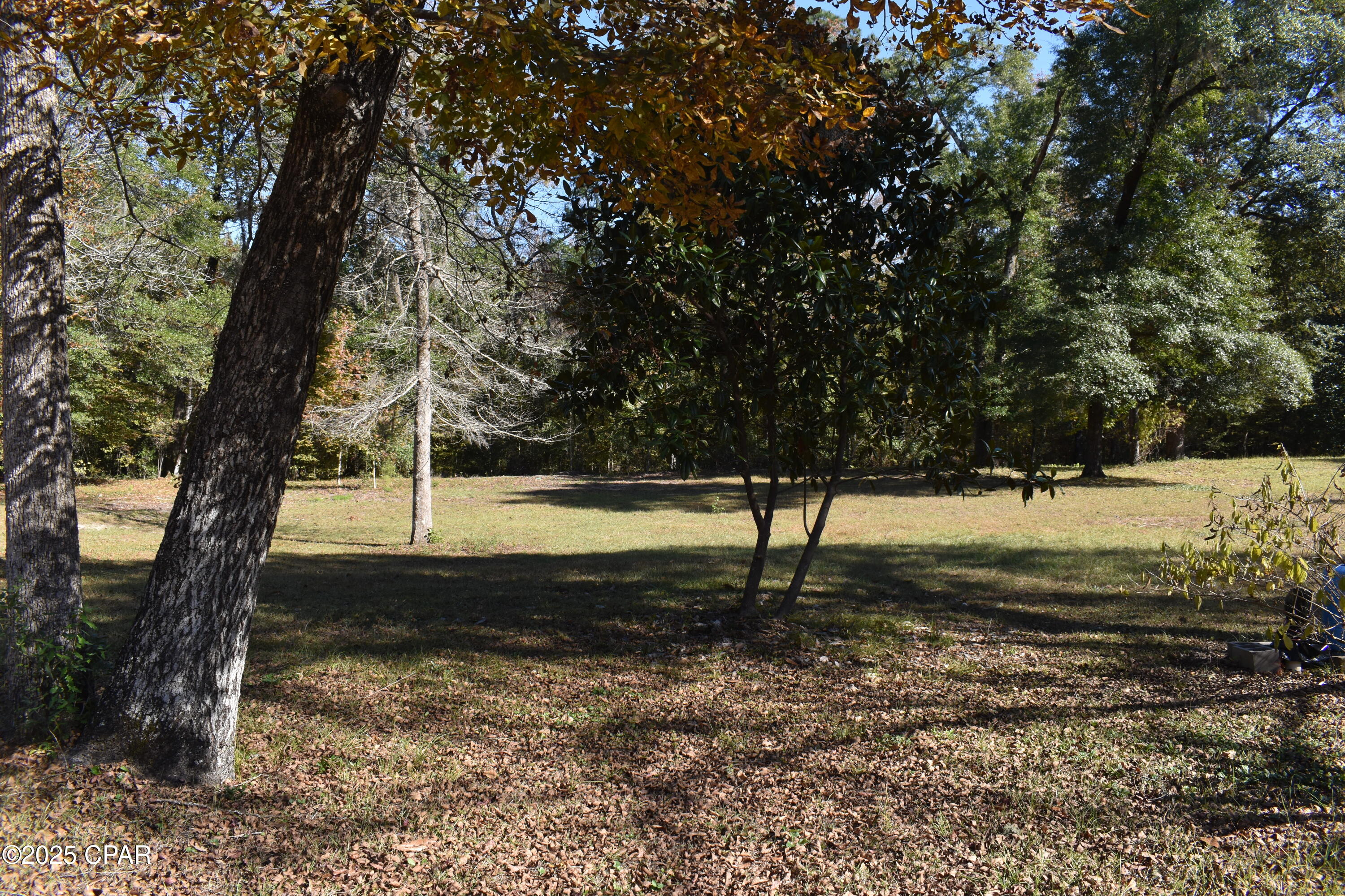 Image 20 For 2461 Angelena Court