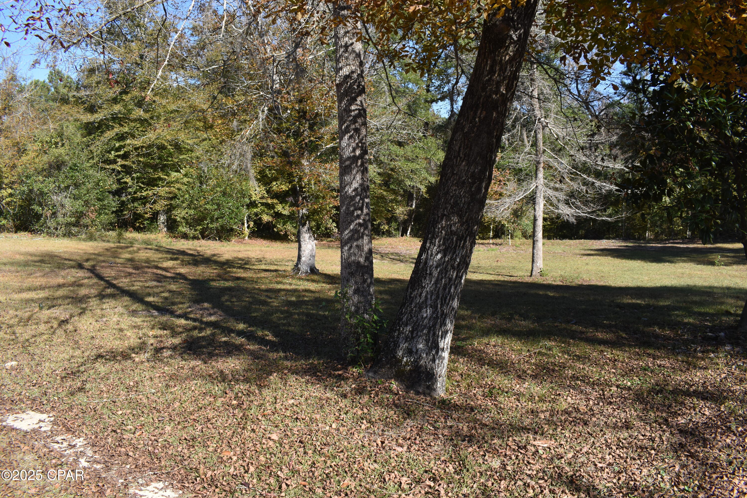 Image 21 For 2461 Angelena Court