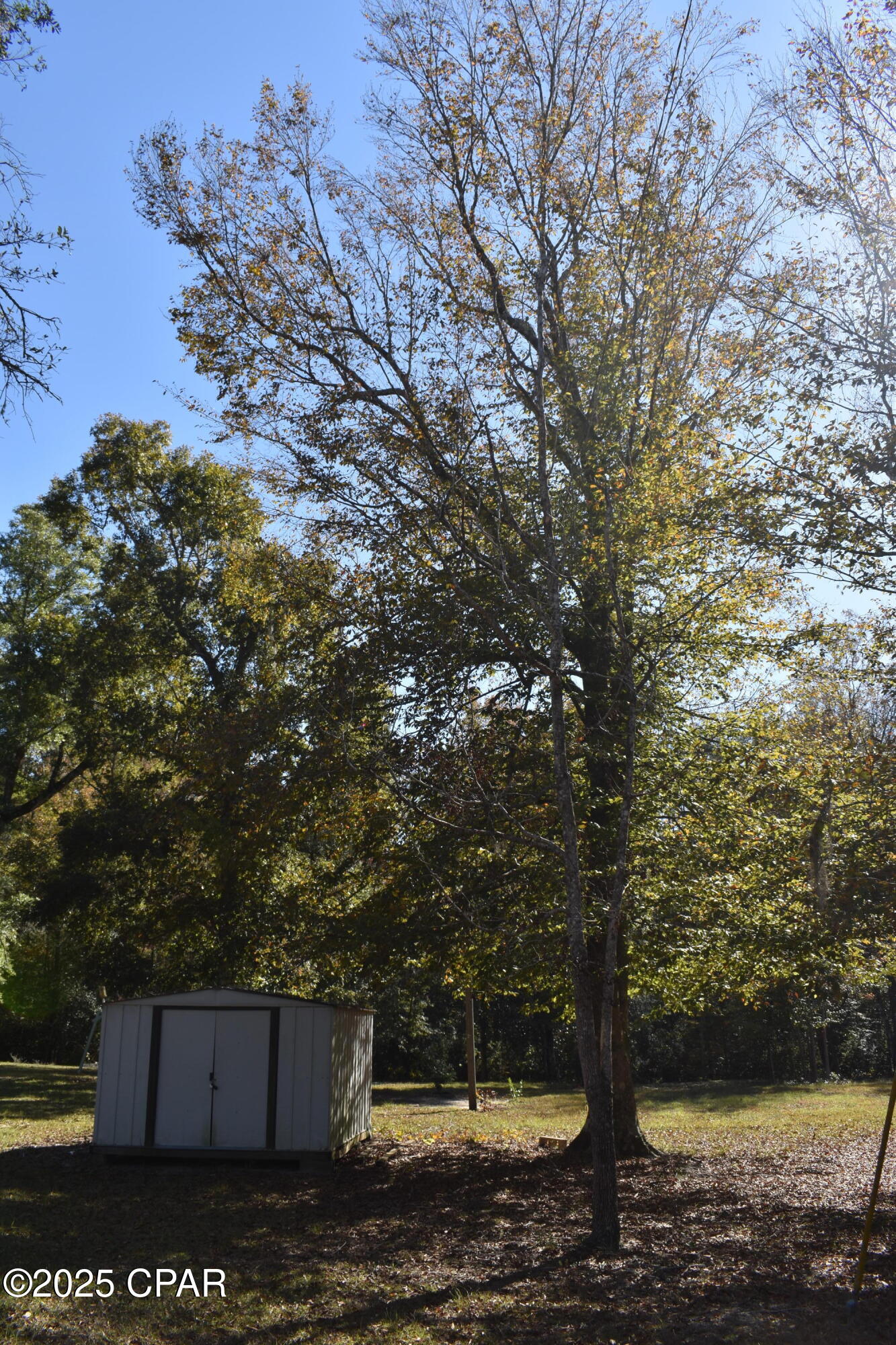 Image 25 For 2461 Angelena Court