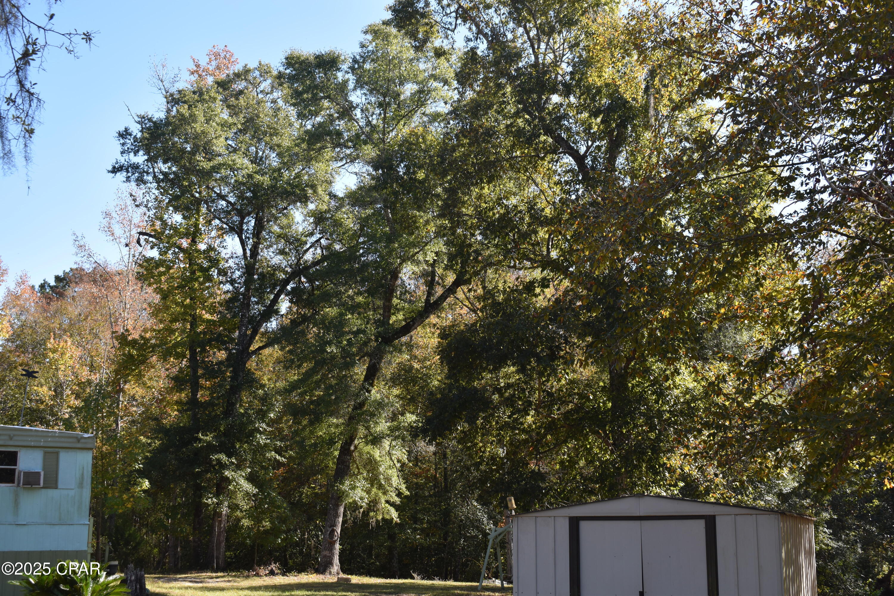 Image 27 For 2461 Angelena Court