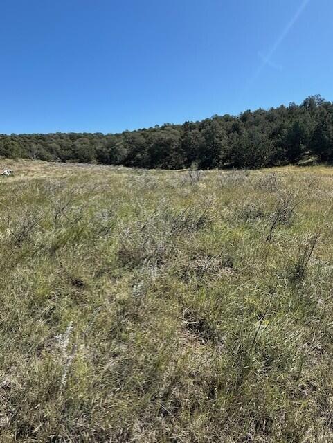  0 Edgewood Road, Edgewood, NM 87015
