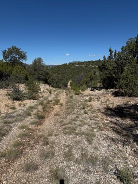 Photo 8 —  0 Edgewood Road