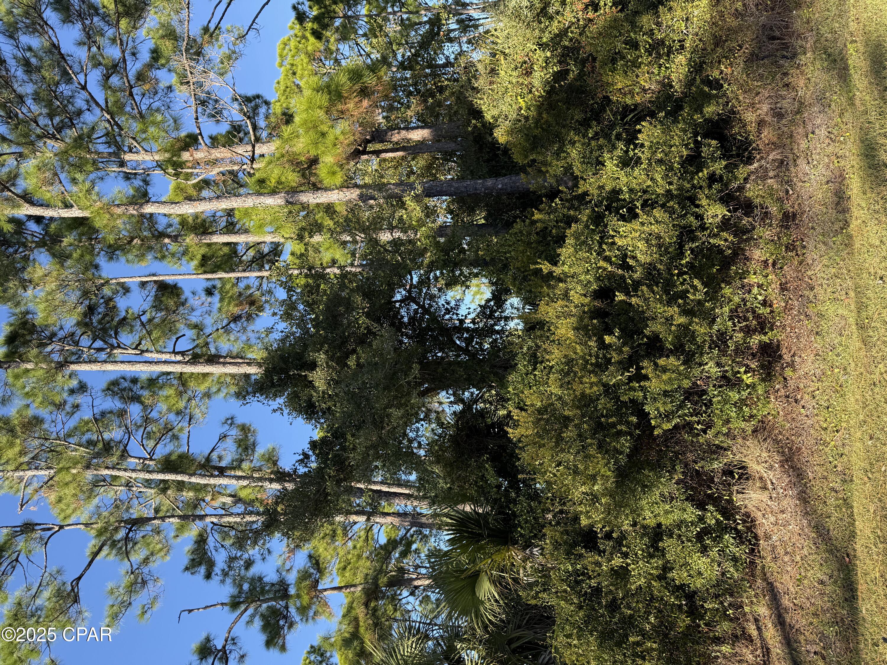 Details for 123 Cottage Lane, Port St Joe, FL 32456