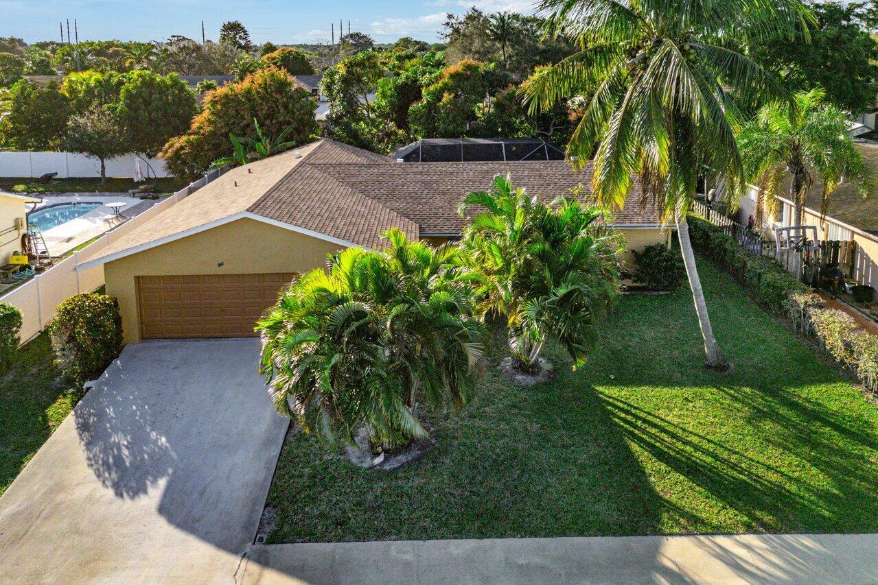 Willows The First Add