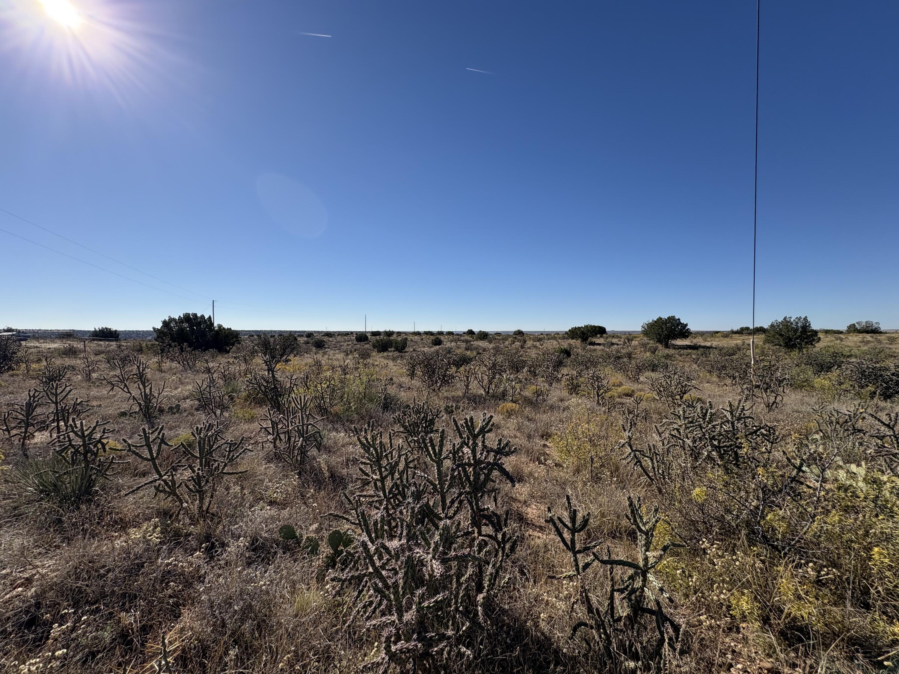 Photo 12 — Lot 9 Quail Lane