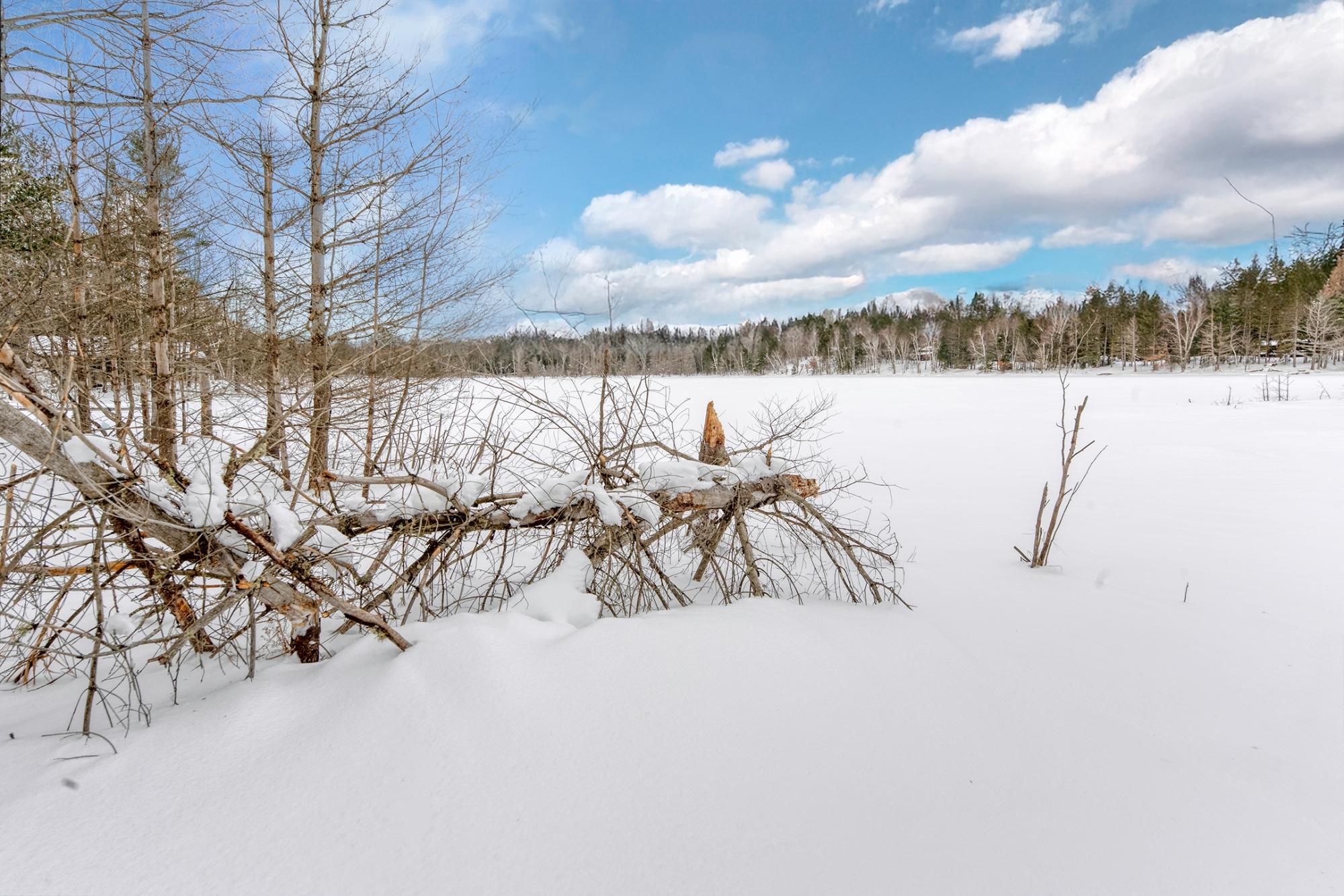 Undocumented Lake Property 1538 Lotus Ln Photo 33