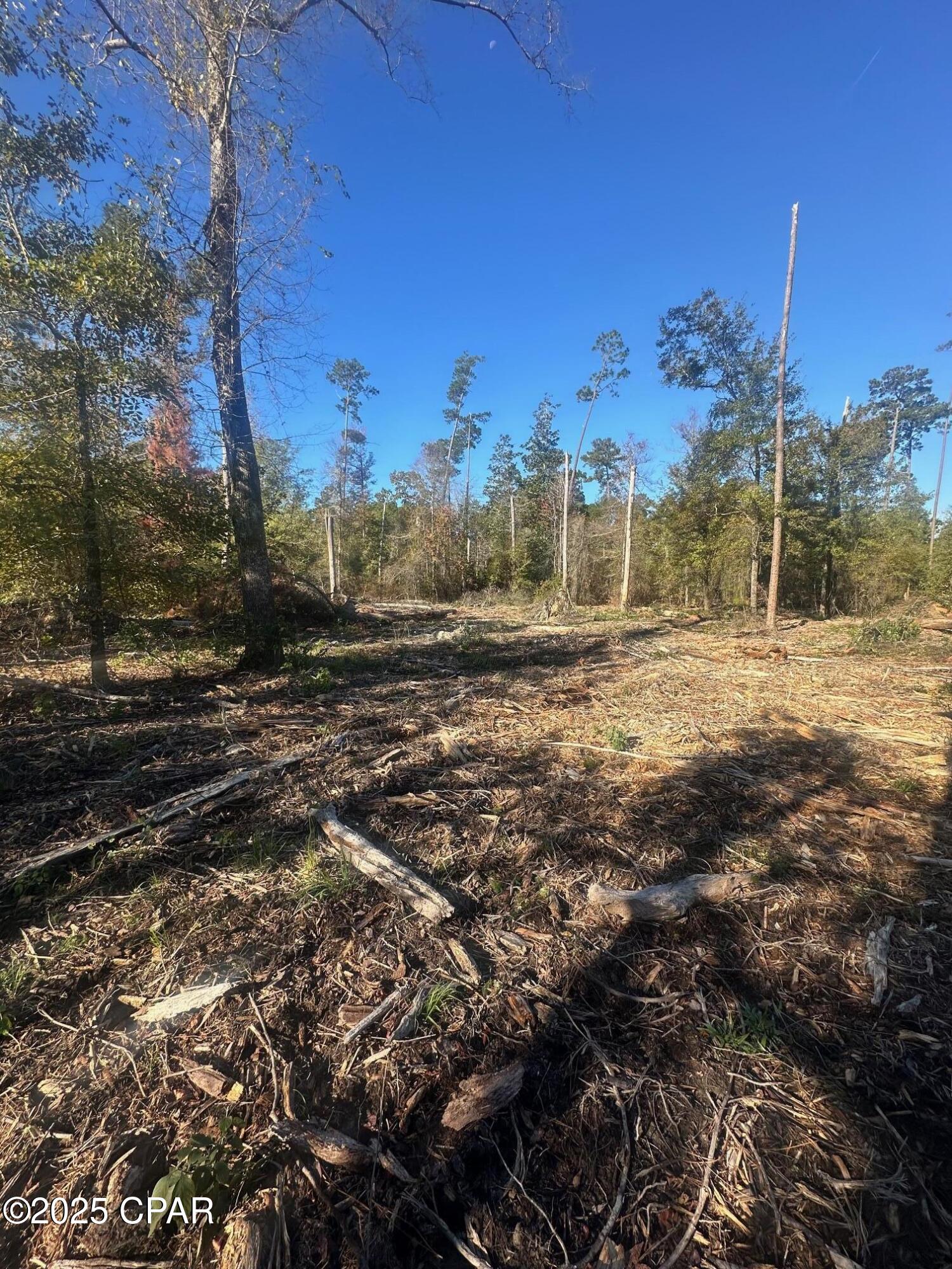 Image 11 For 0 Parramore Road