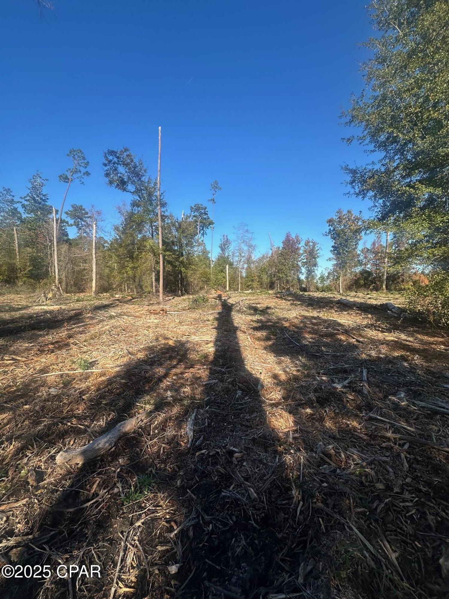 Image 12 For 0 Parramore Road