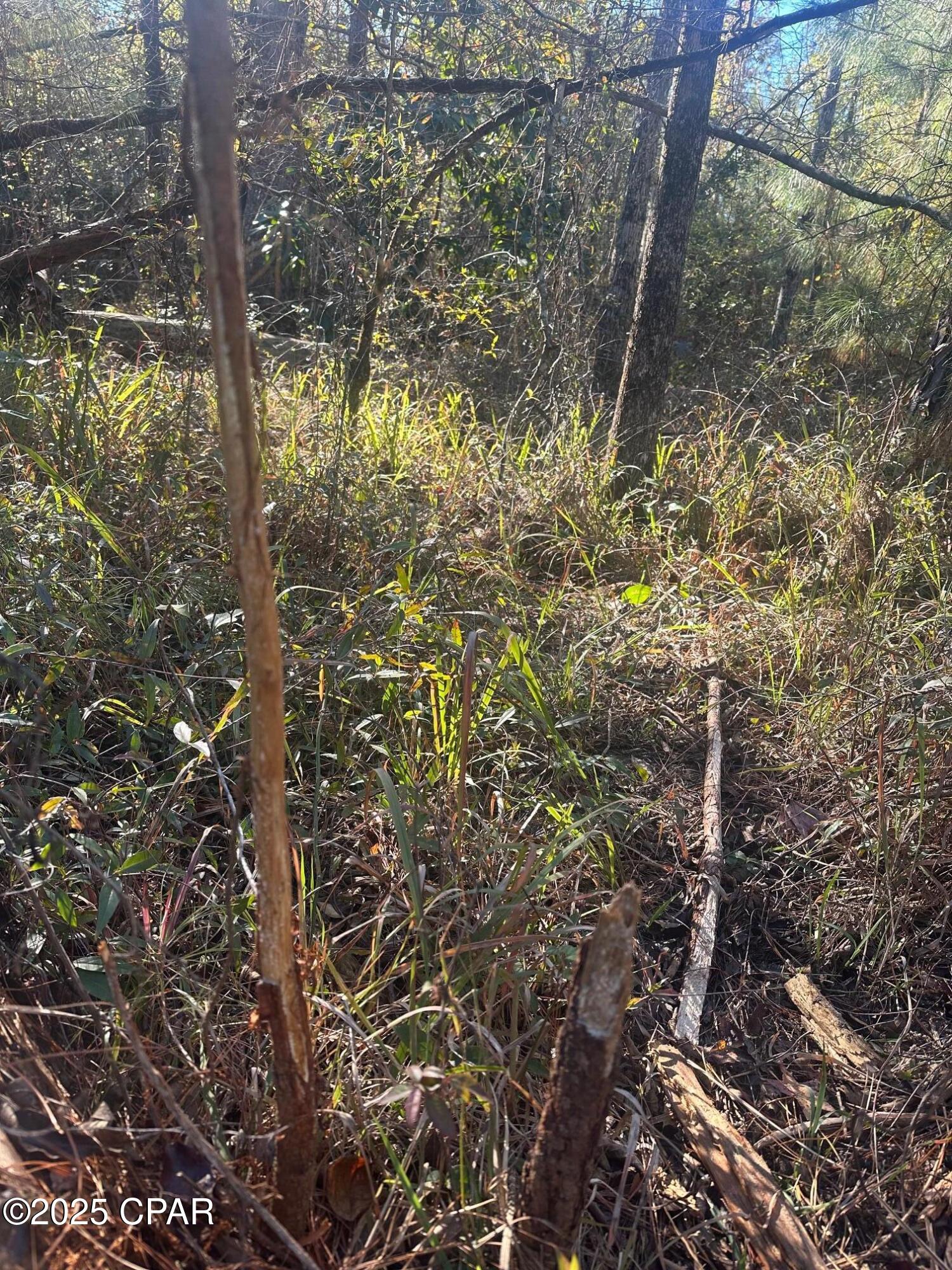 Image 13 For 0 Parramore Road