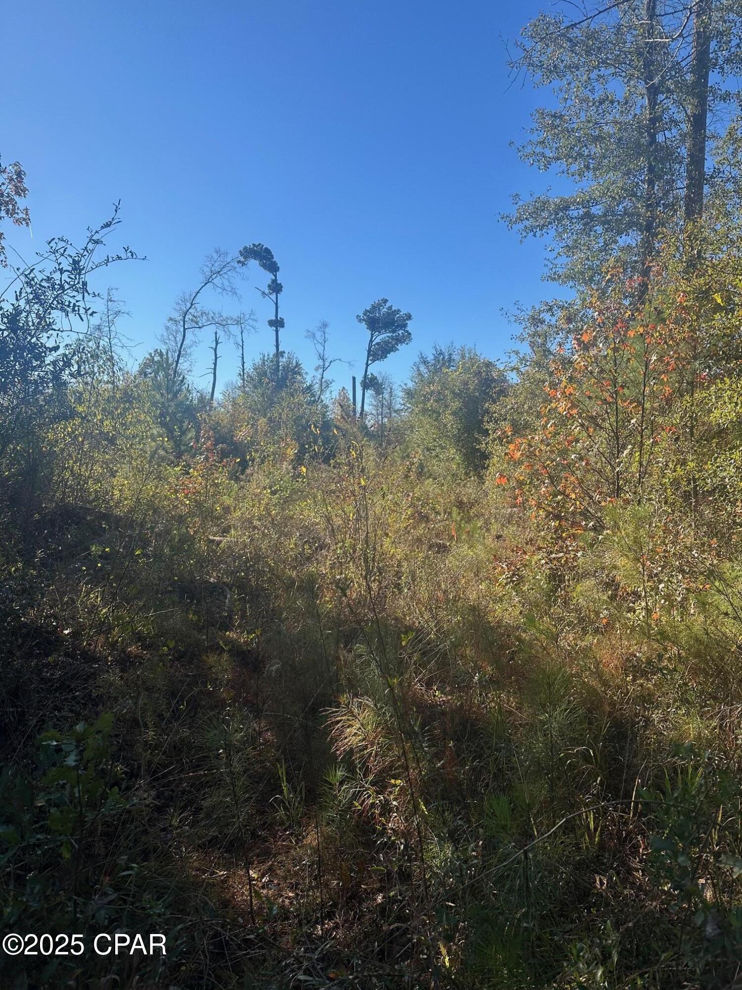 Image 14 For 0 Parramore Road