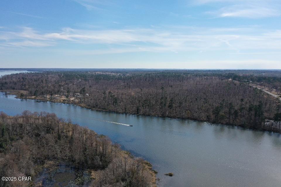 Homes for sale in Sneads, FL | 0 Parramore Rd, Sneads, FL 32460 | MLS# 781818