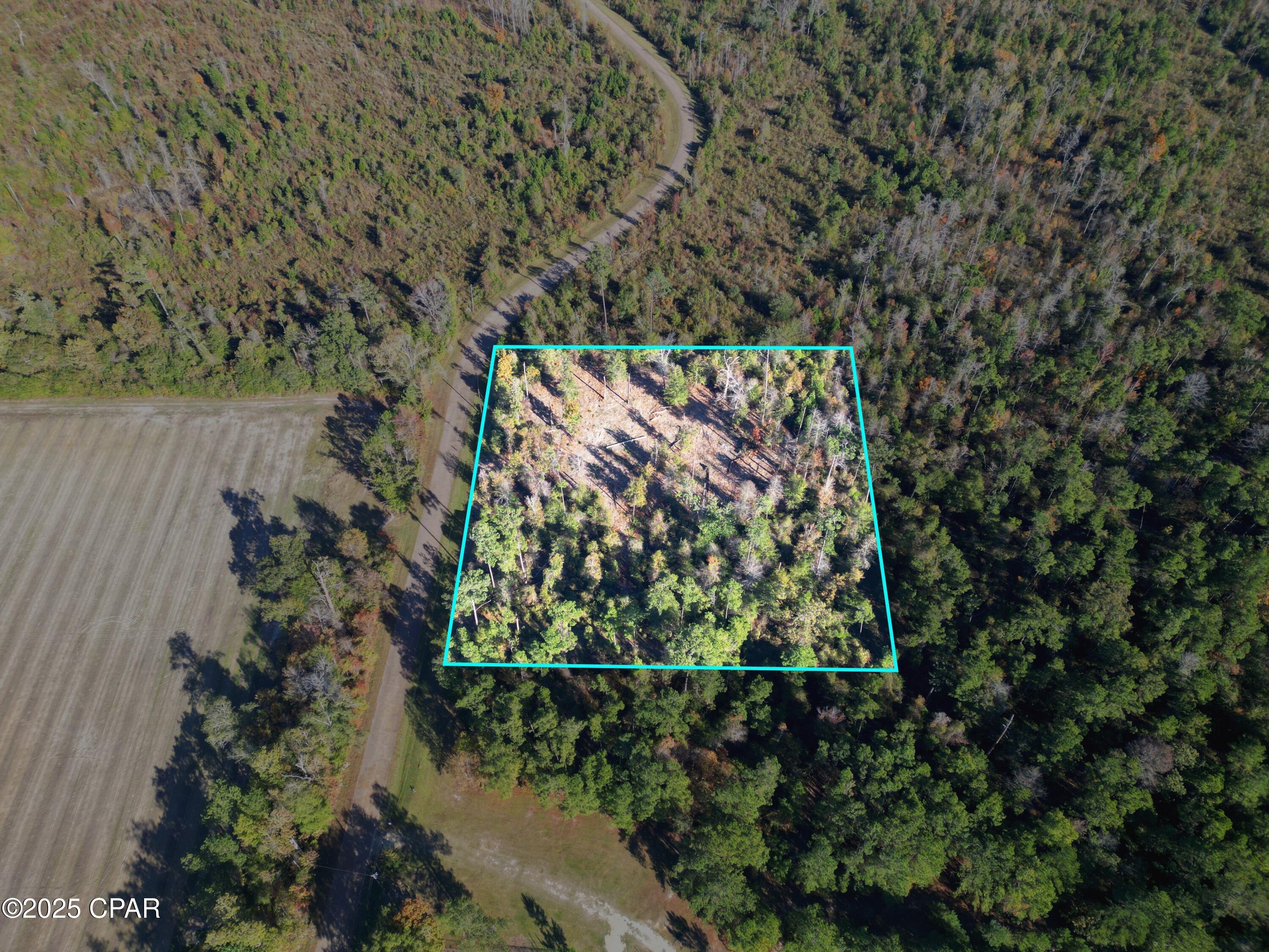 Homes for sale in Sneads, FL | 0 Parramore Rd, Sneads, FL 32460 | MLS# 781818