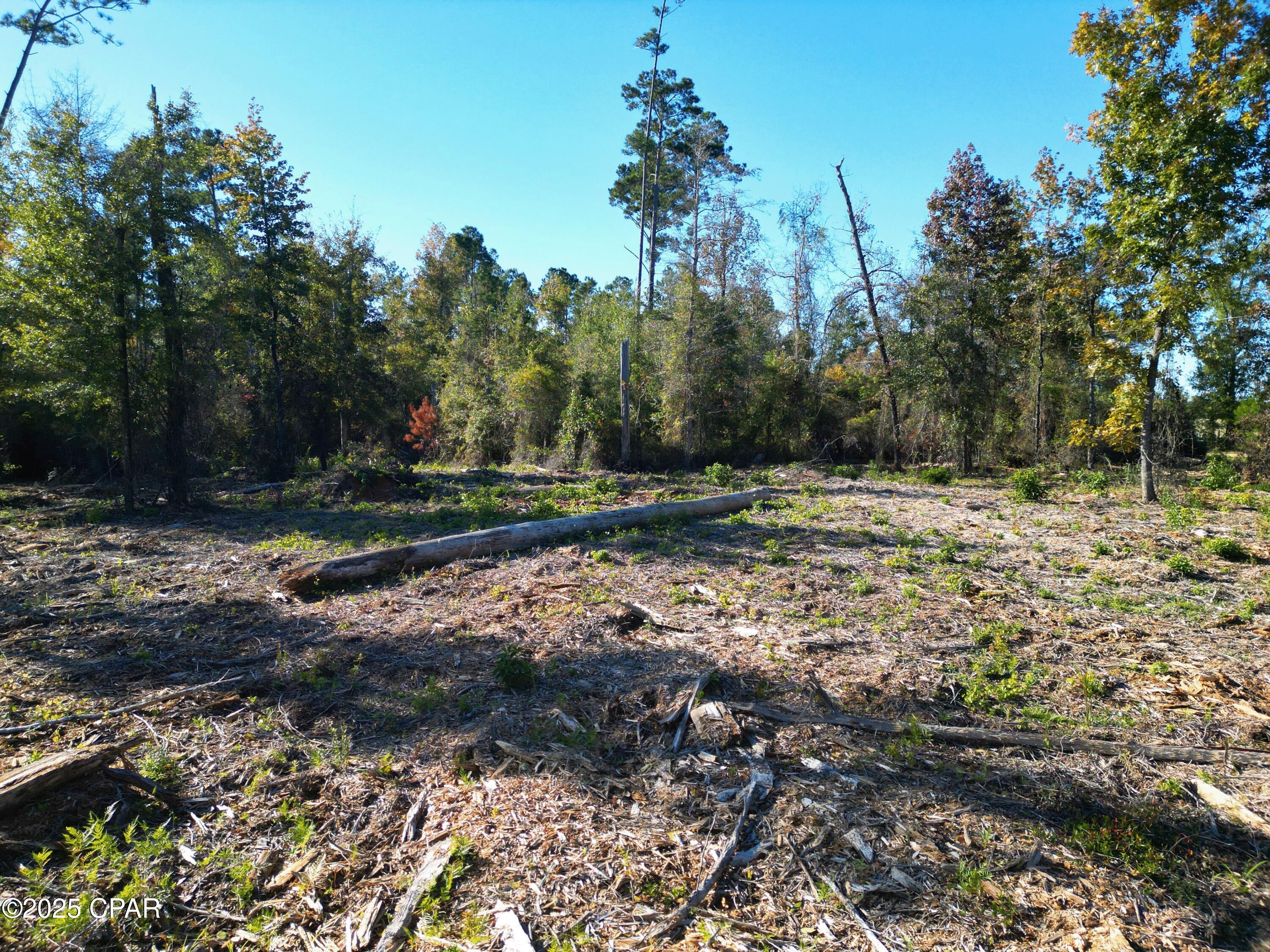 Image 8 For 0 Parramore Road