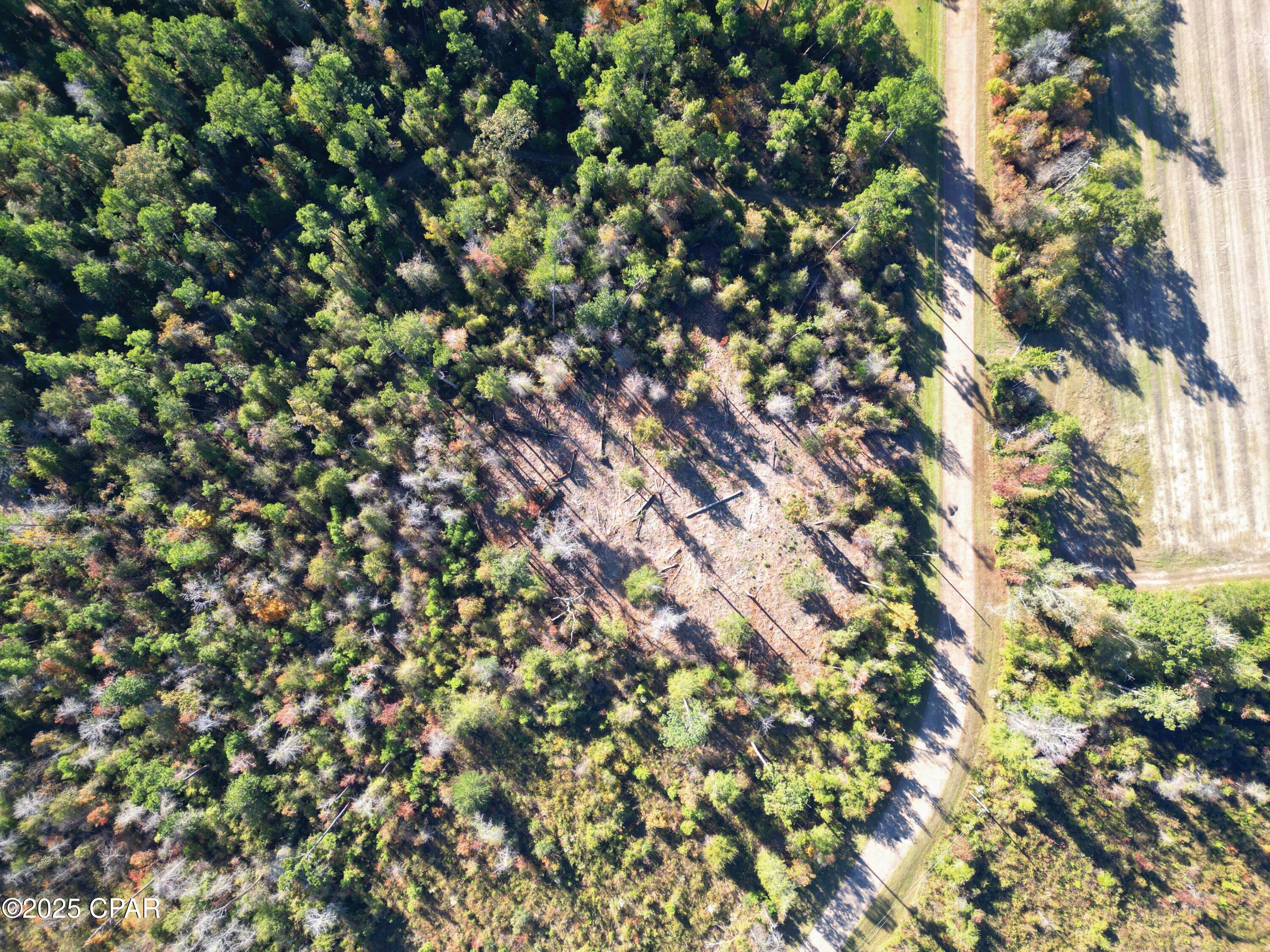 Image 9 For 0 Parramore Road