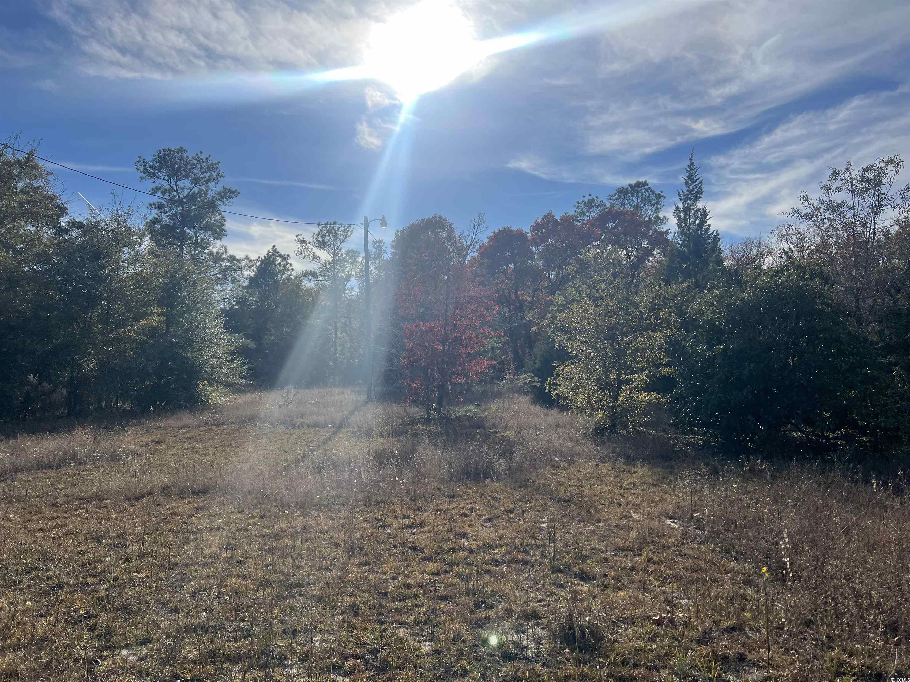 Homes for sale in Gresham, SC | 1563 Oakridge Rd, Gresham, SC 29546 | MLS# 2527775