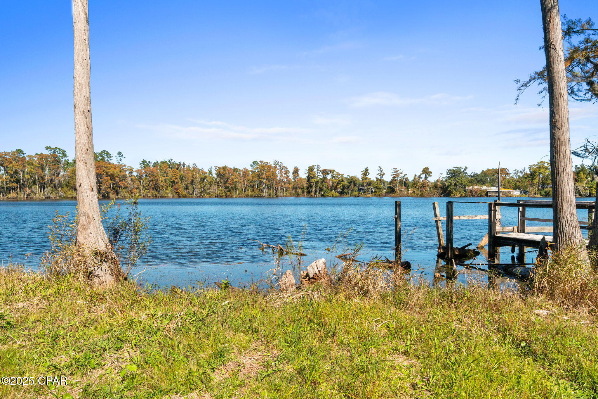 Image 49 For 364 Lister Drive