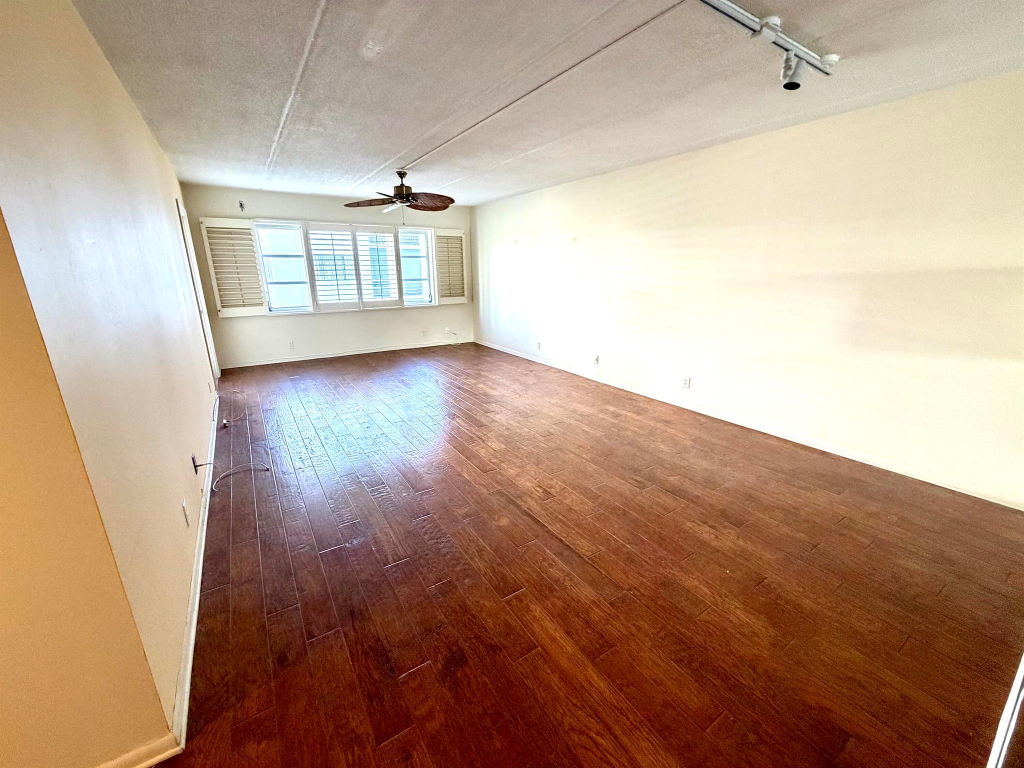 Regency Surf & Racquet CL