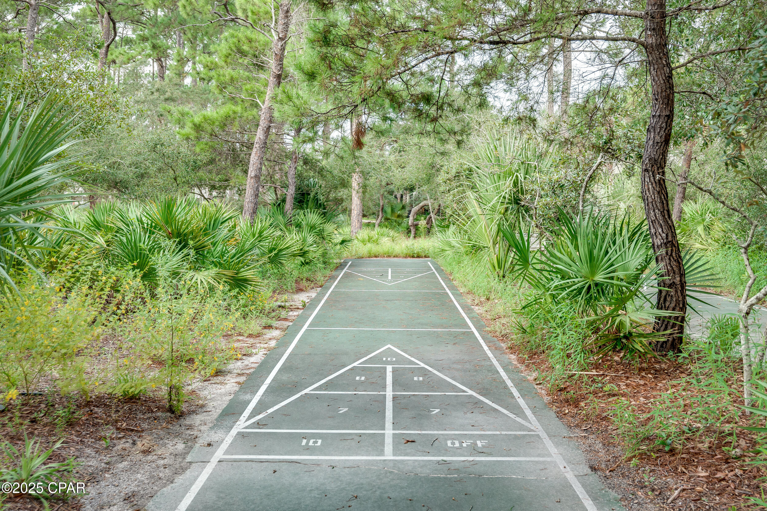 Image 62 For 1740 Co Hwy 393  103