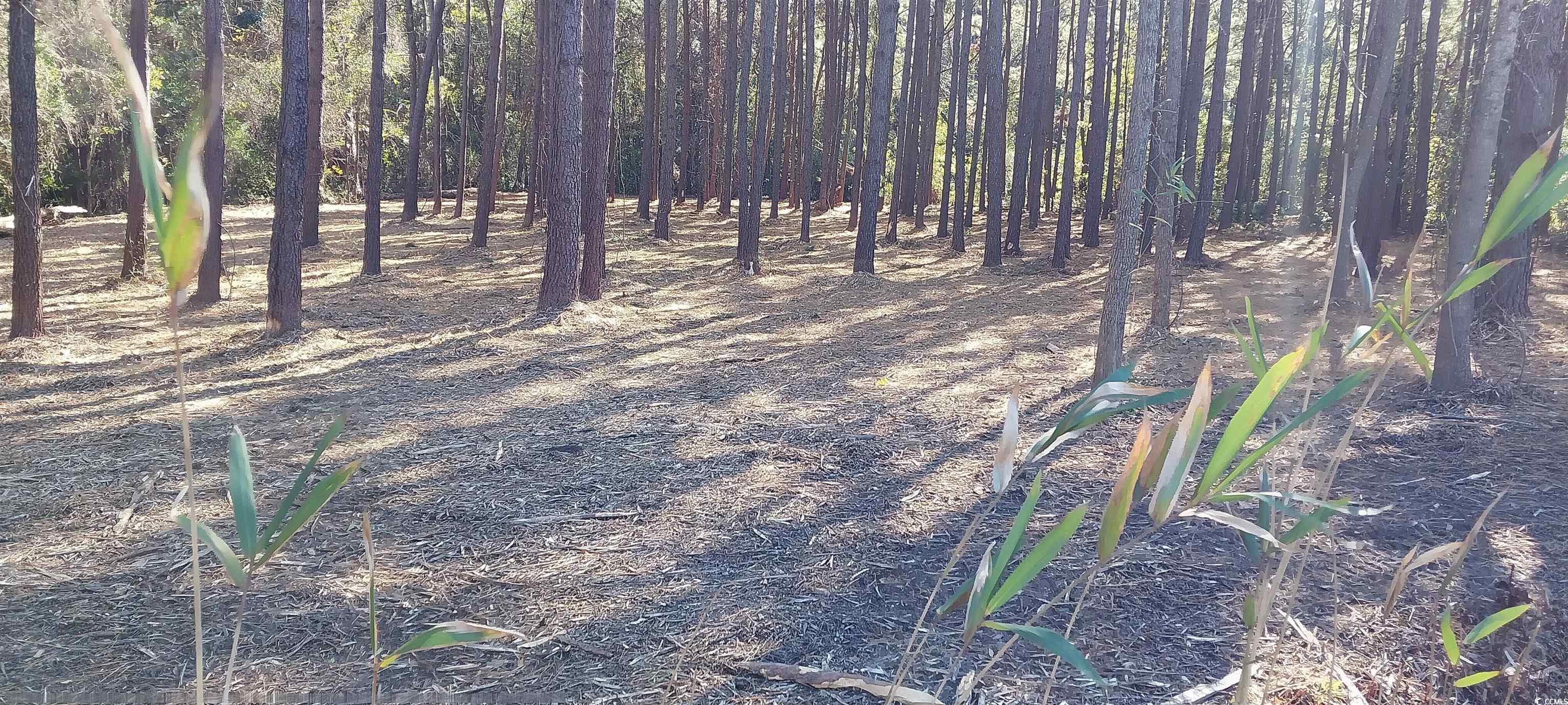 Millers Rd. Mullins, SC 29574