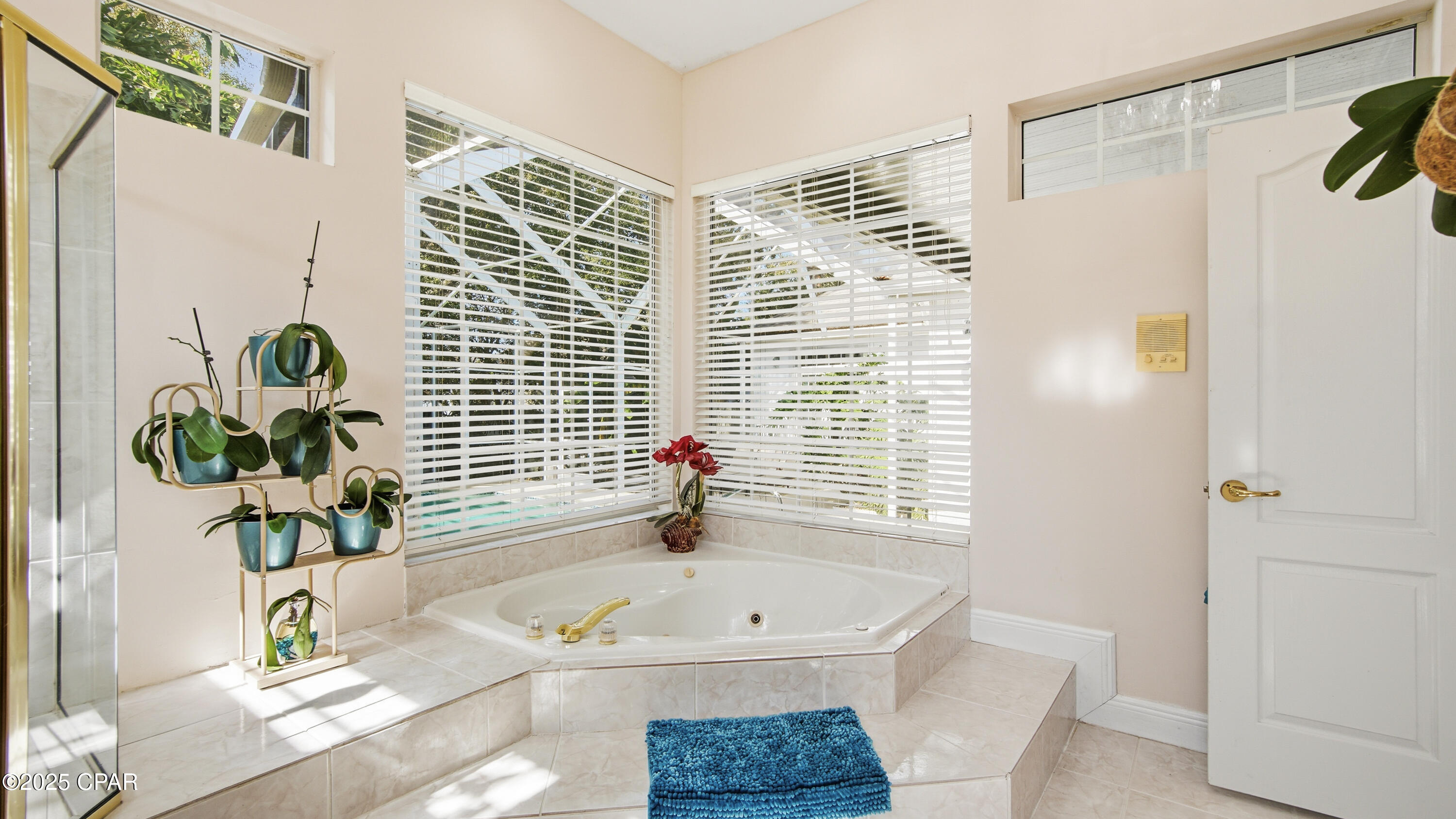 Image 44 For 147 Palm Grove Boulevard