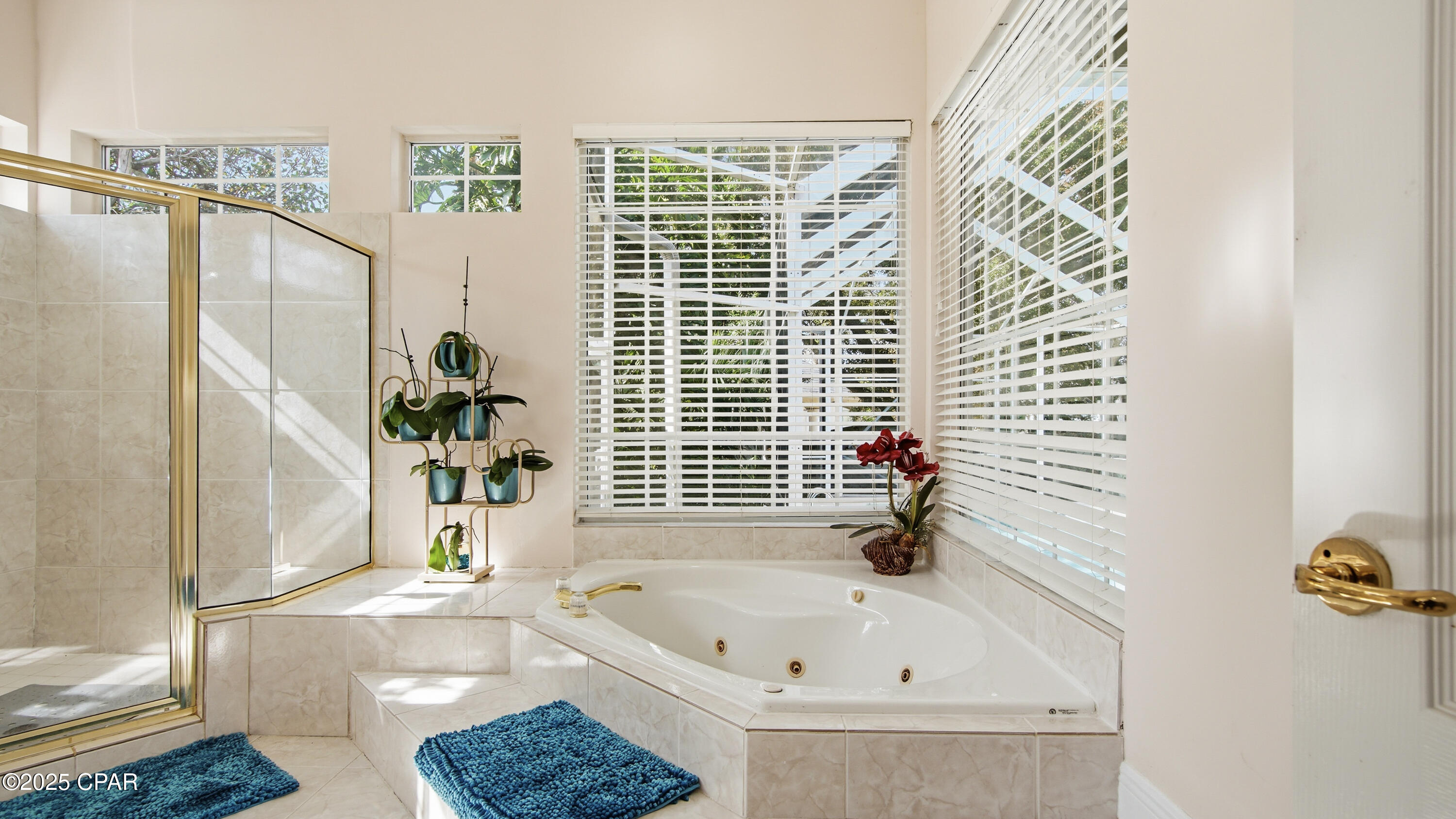 Image 47 For 147 Palm Grove Boulevard