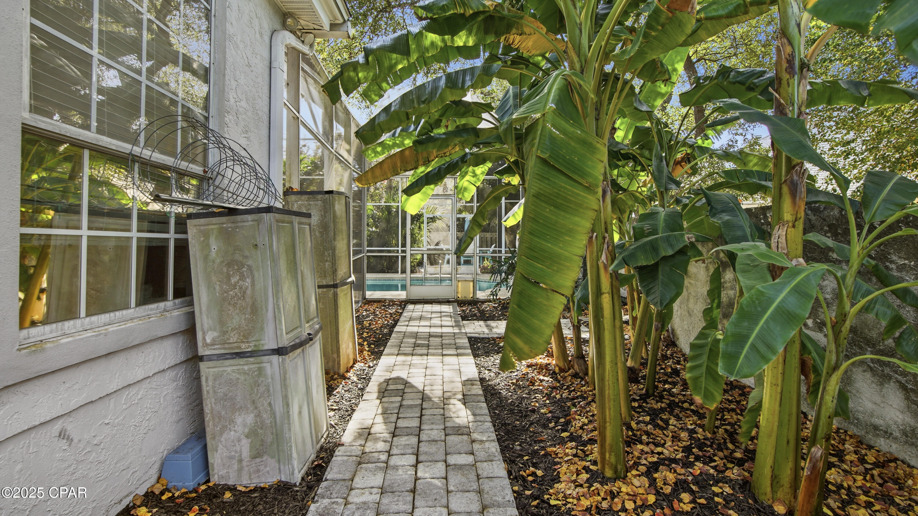 Image 6 For 147 Palm Grove Boulevard