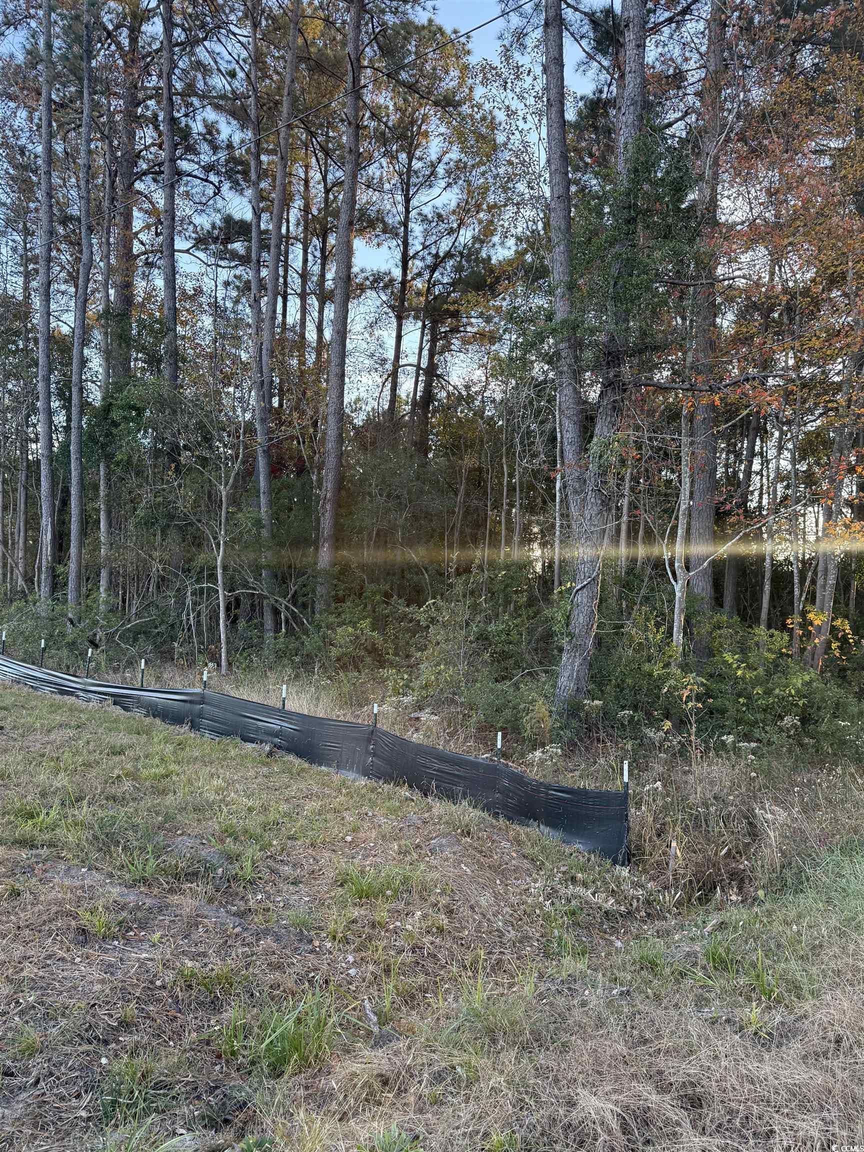 Lot 1 & 2 College Park Rd. Conway, SC 29527