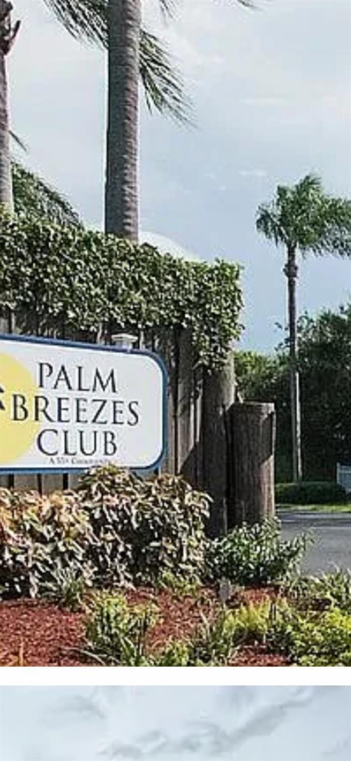 Palm Breeze