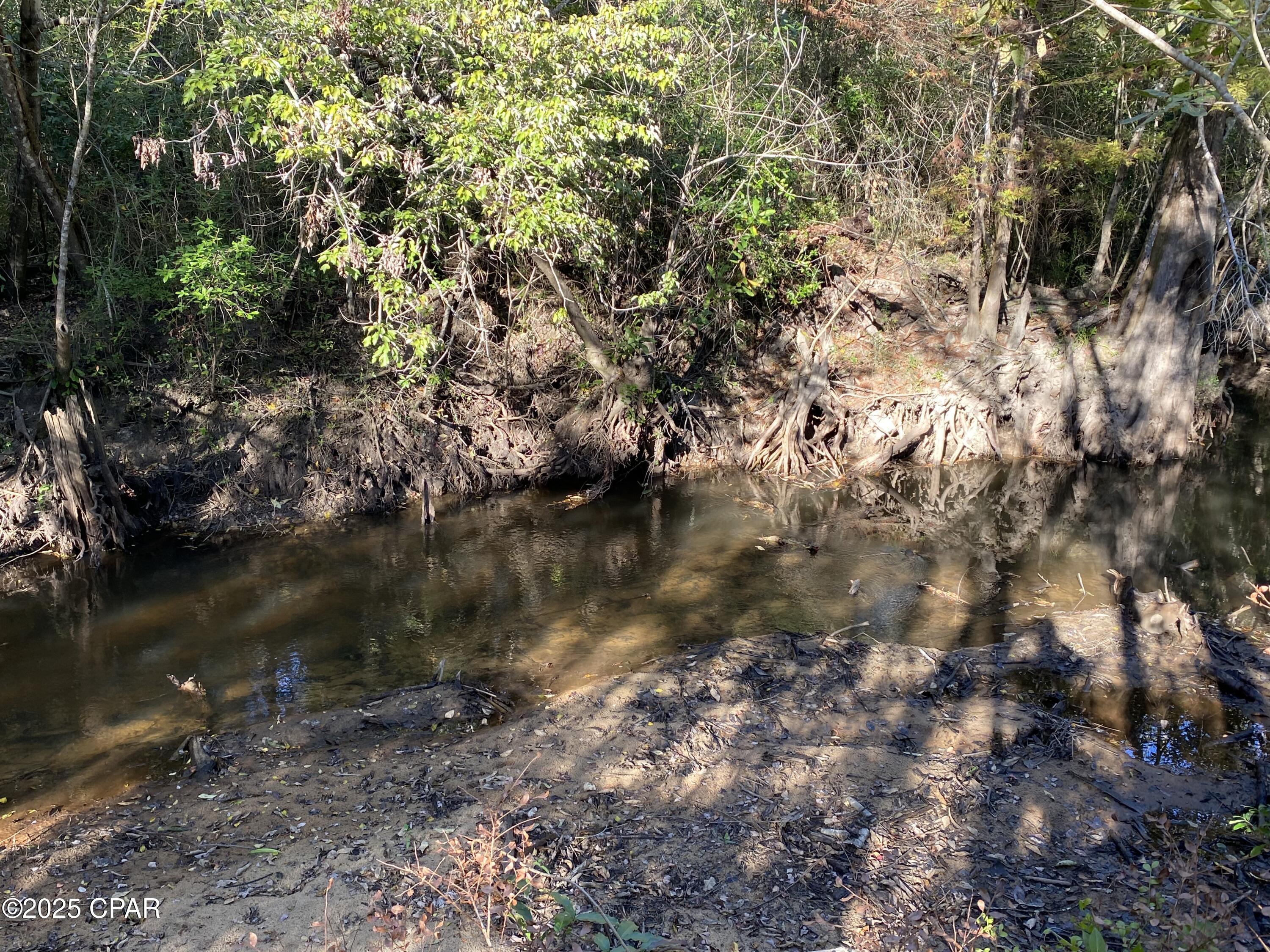 Image 45 For 7924 Brandon Road