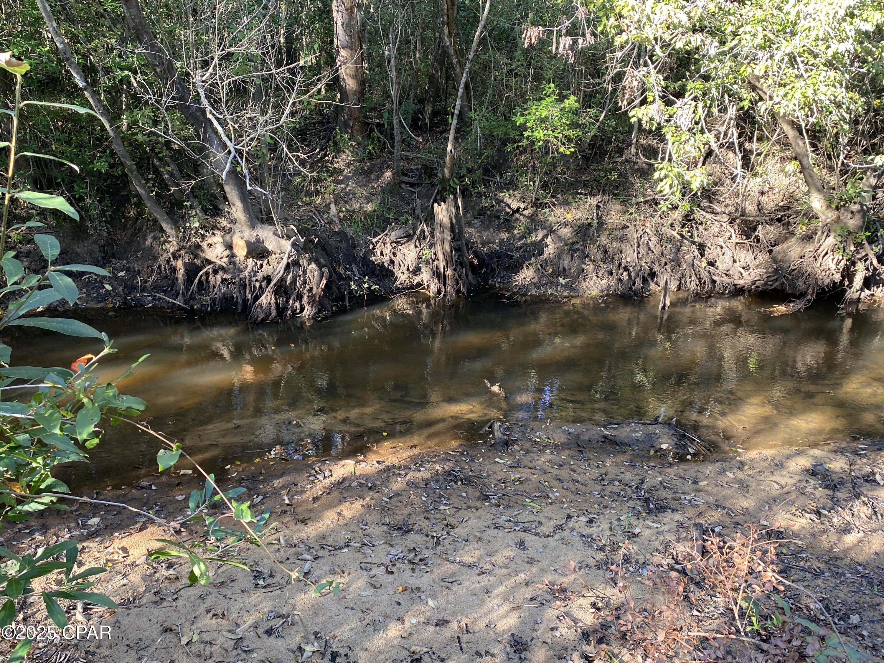 Image 46 For 7924 Brandon Road