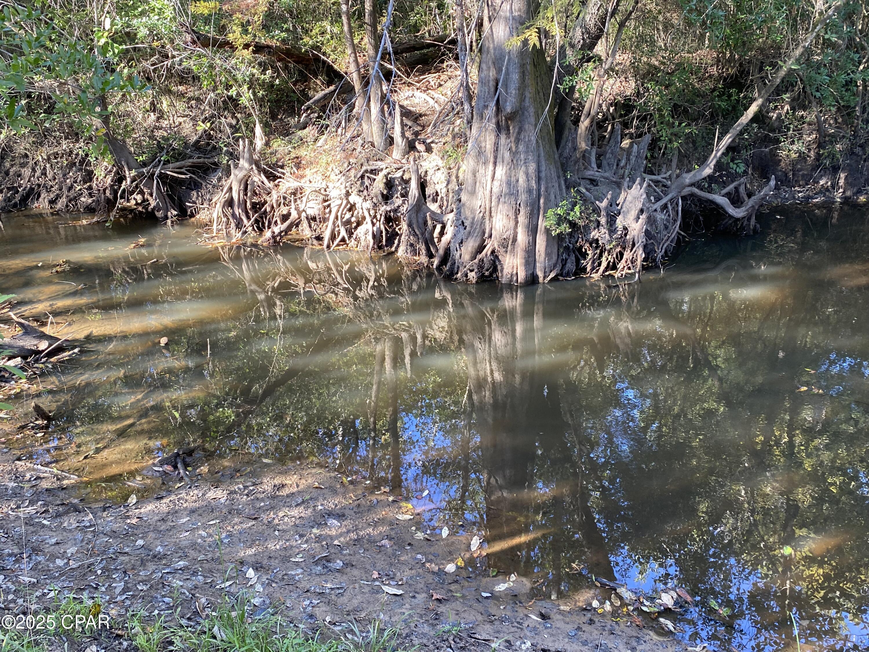 Image 47 For 7924 Brandon Road