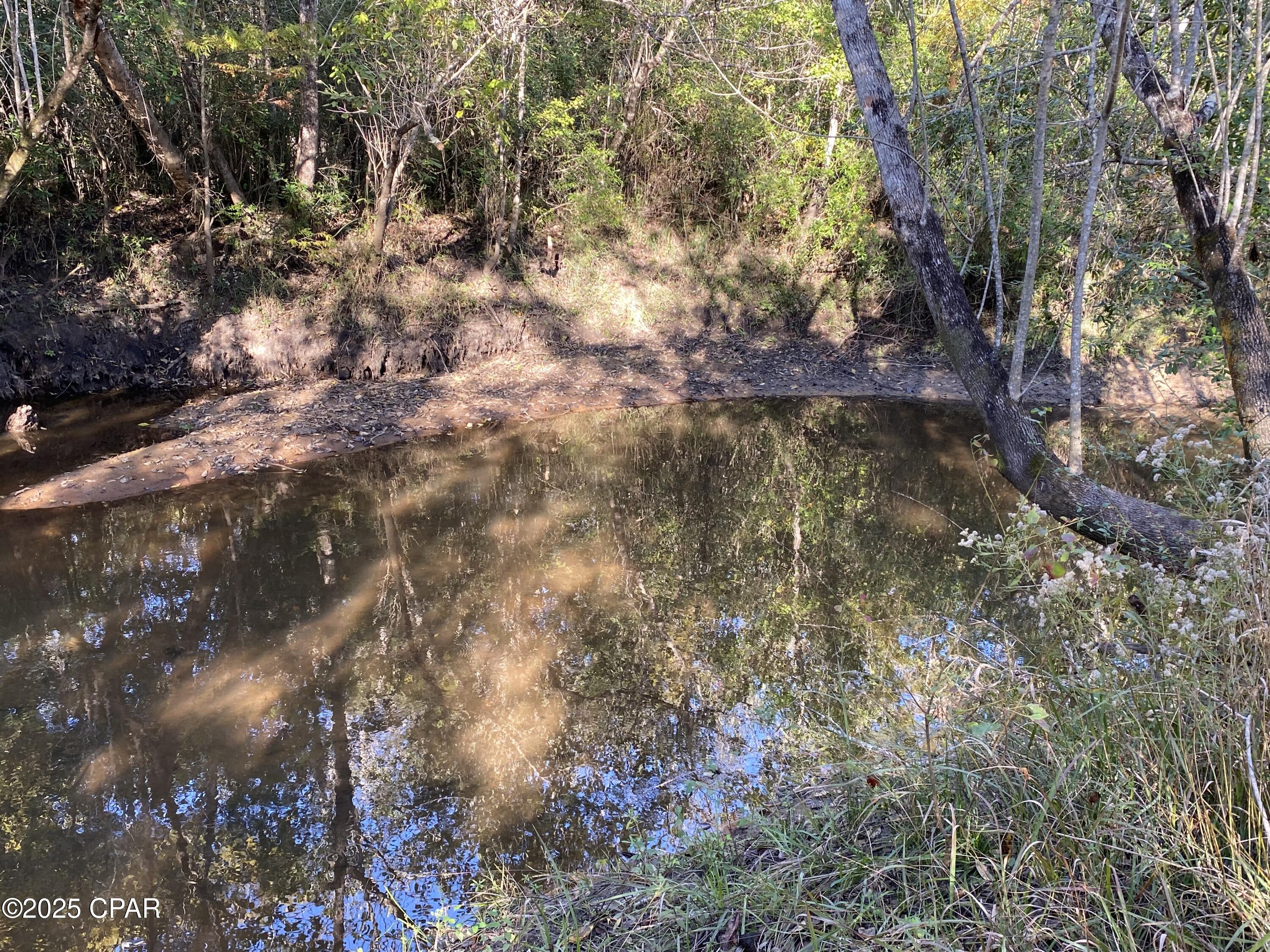 Image 48 For 7924 Brandon Road