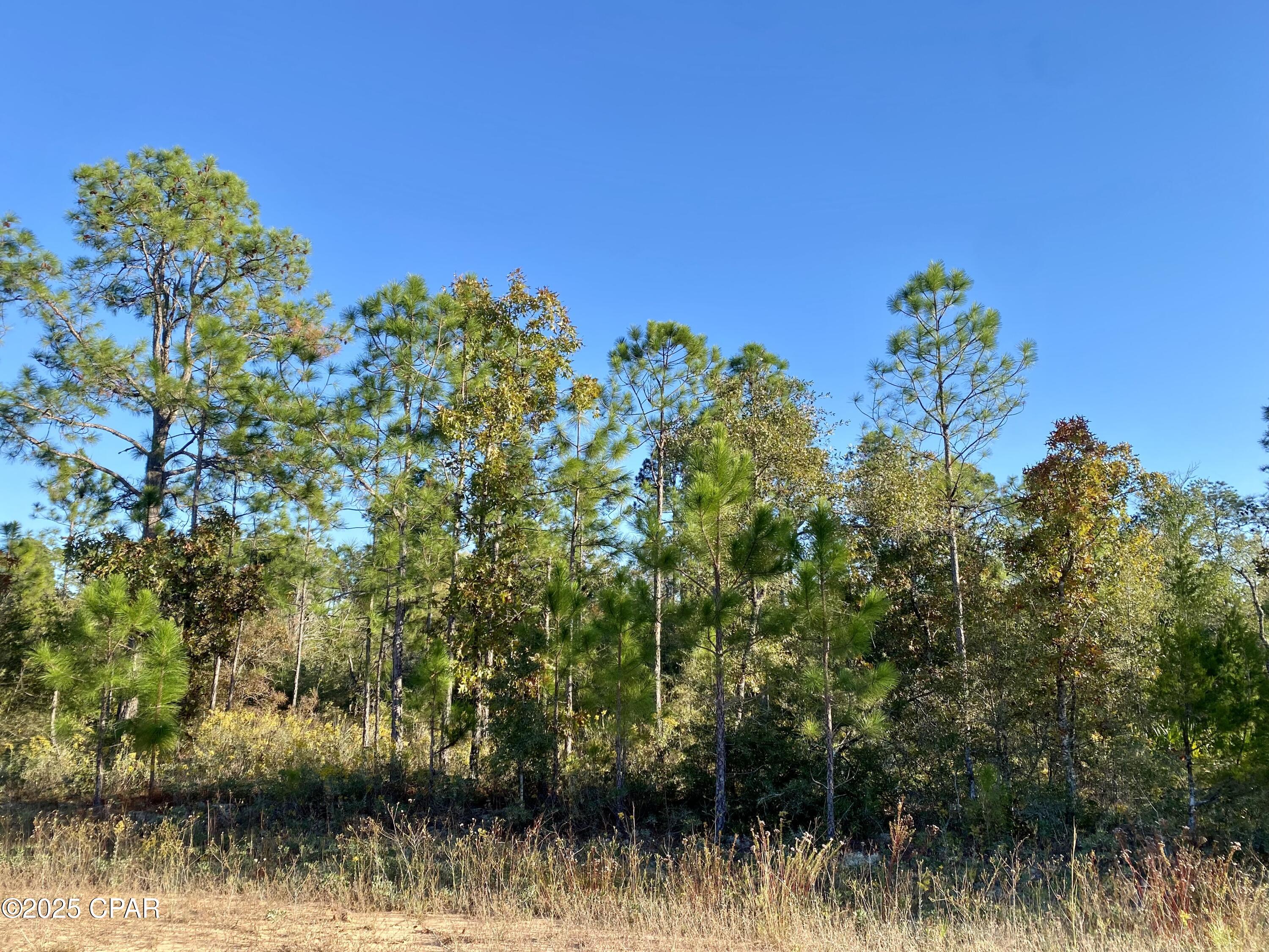Details for Lot 128 Nezperce Drive, Alford, FL 32420