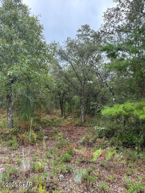 Details for 0 White Road, Altha, FL 32421