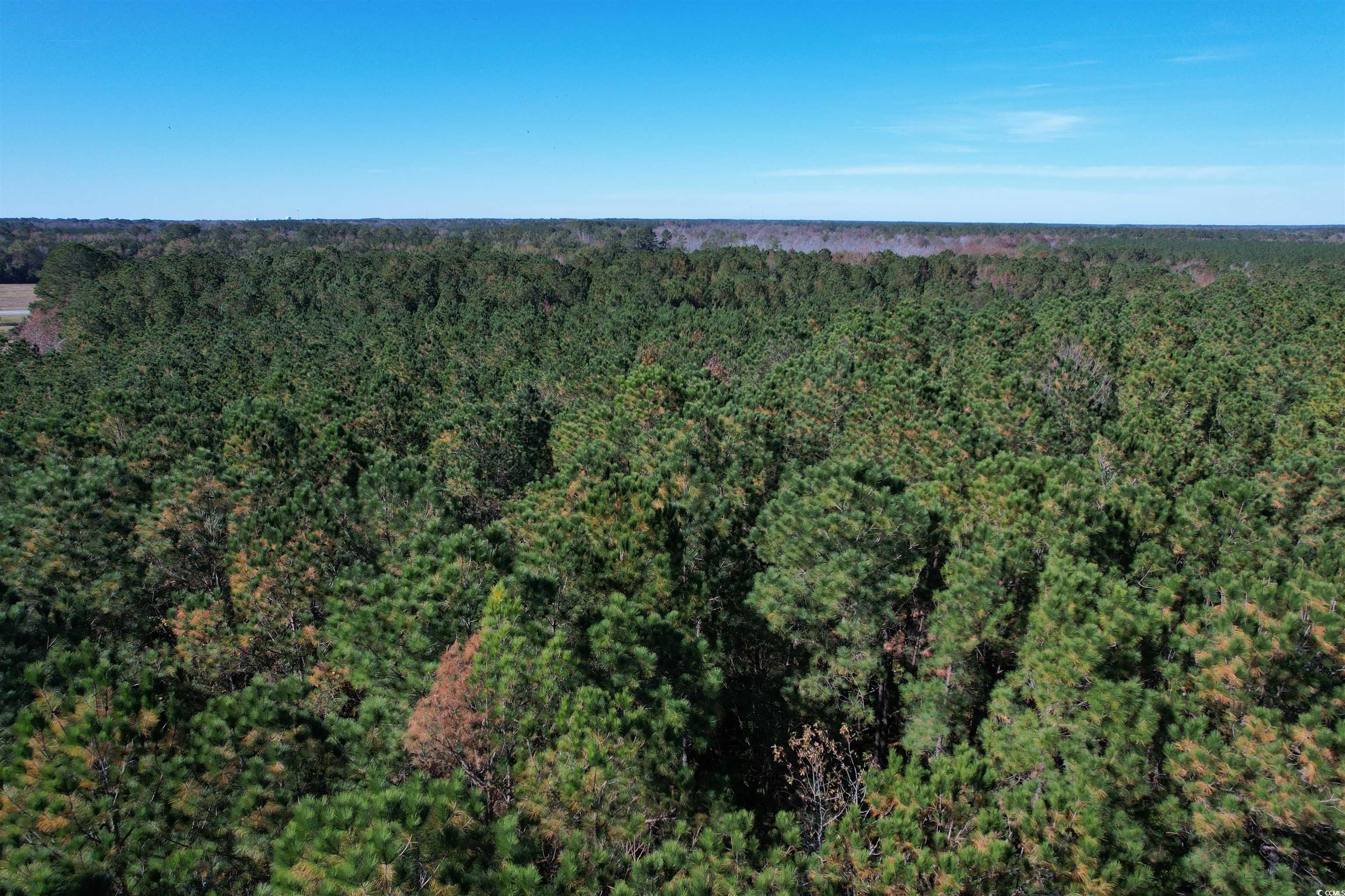 7.90 Acres Puncheon Creek Dr. Andrews, SC 29510