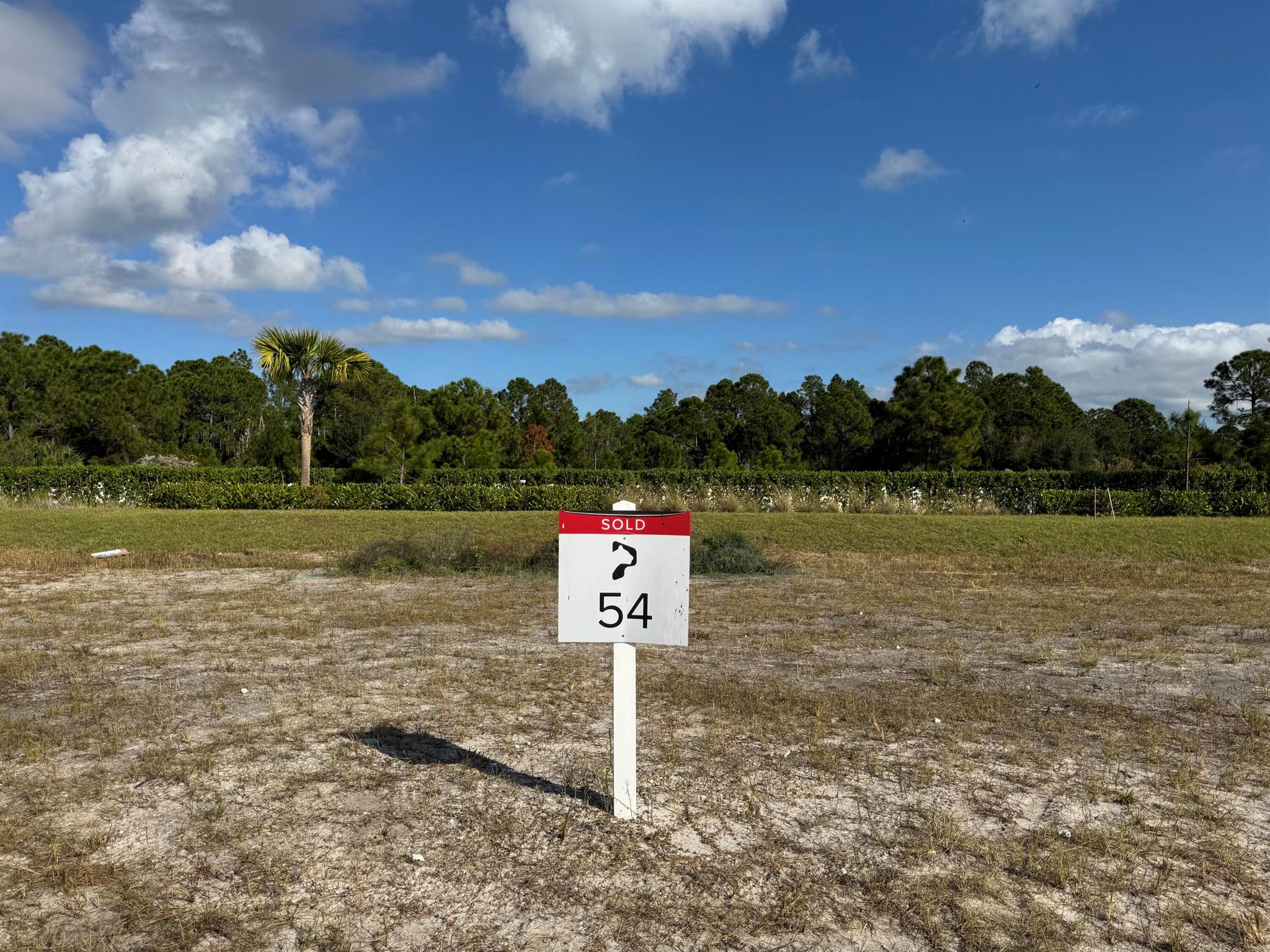 Panther National At Aveni