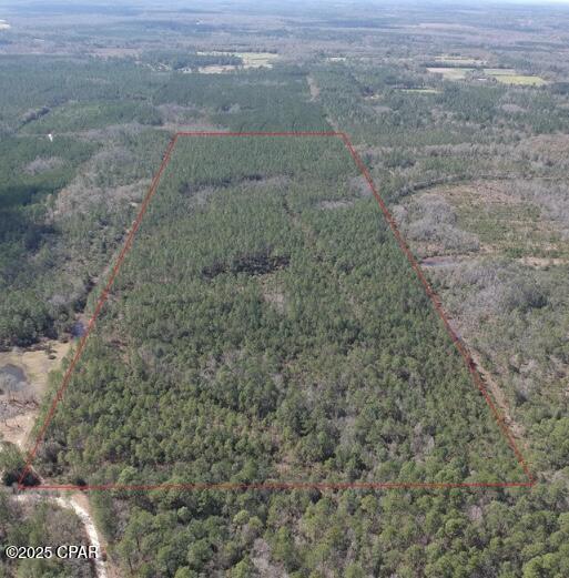 Details for 60 Acres Jw Miller Road, Bonifay, FL 32425
