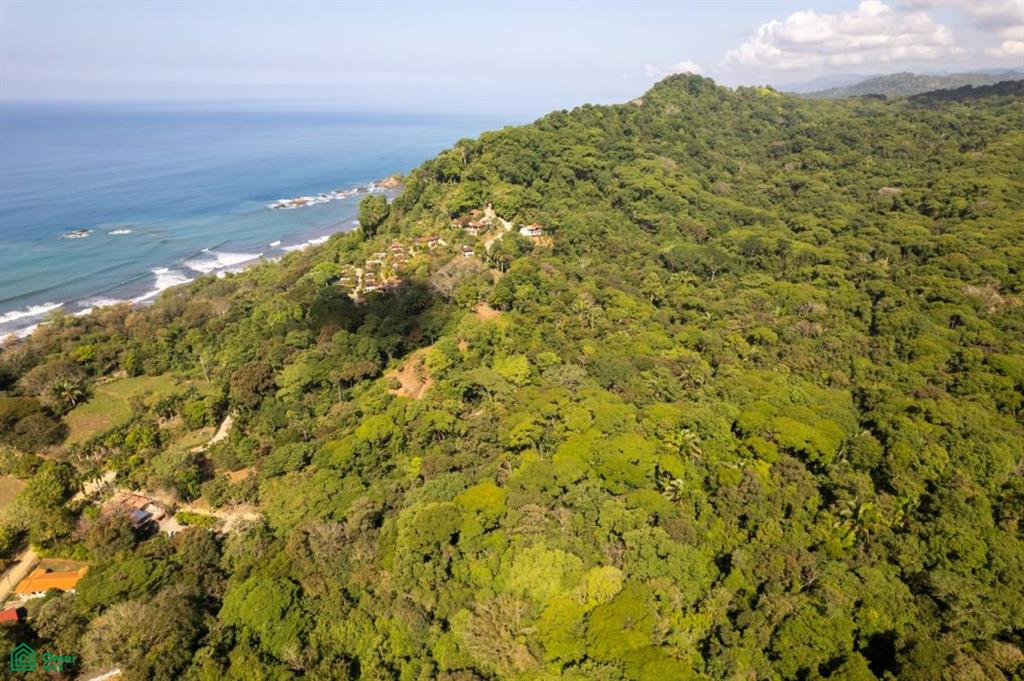 0 bed Land For Sale in Osa, Puntarenas - 1