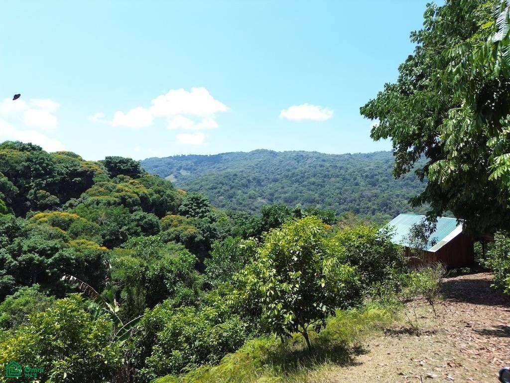 0 bed Land For Sale in Osa, Puntarenas - 1