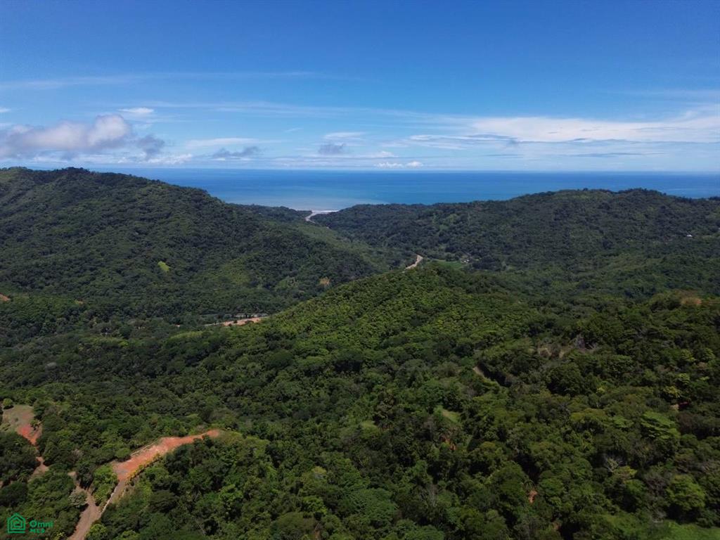 0 bed Land For Sale in Osa, Puntarenas - 1